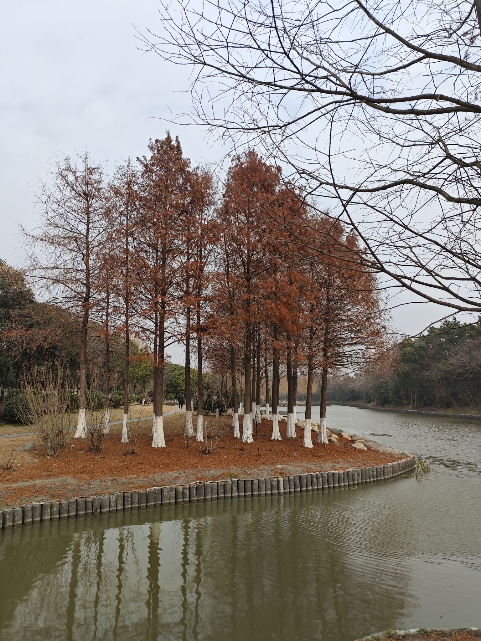 白洋河生态湿地公园旅行图片 3