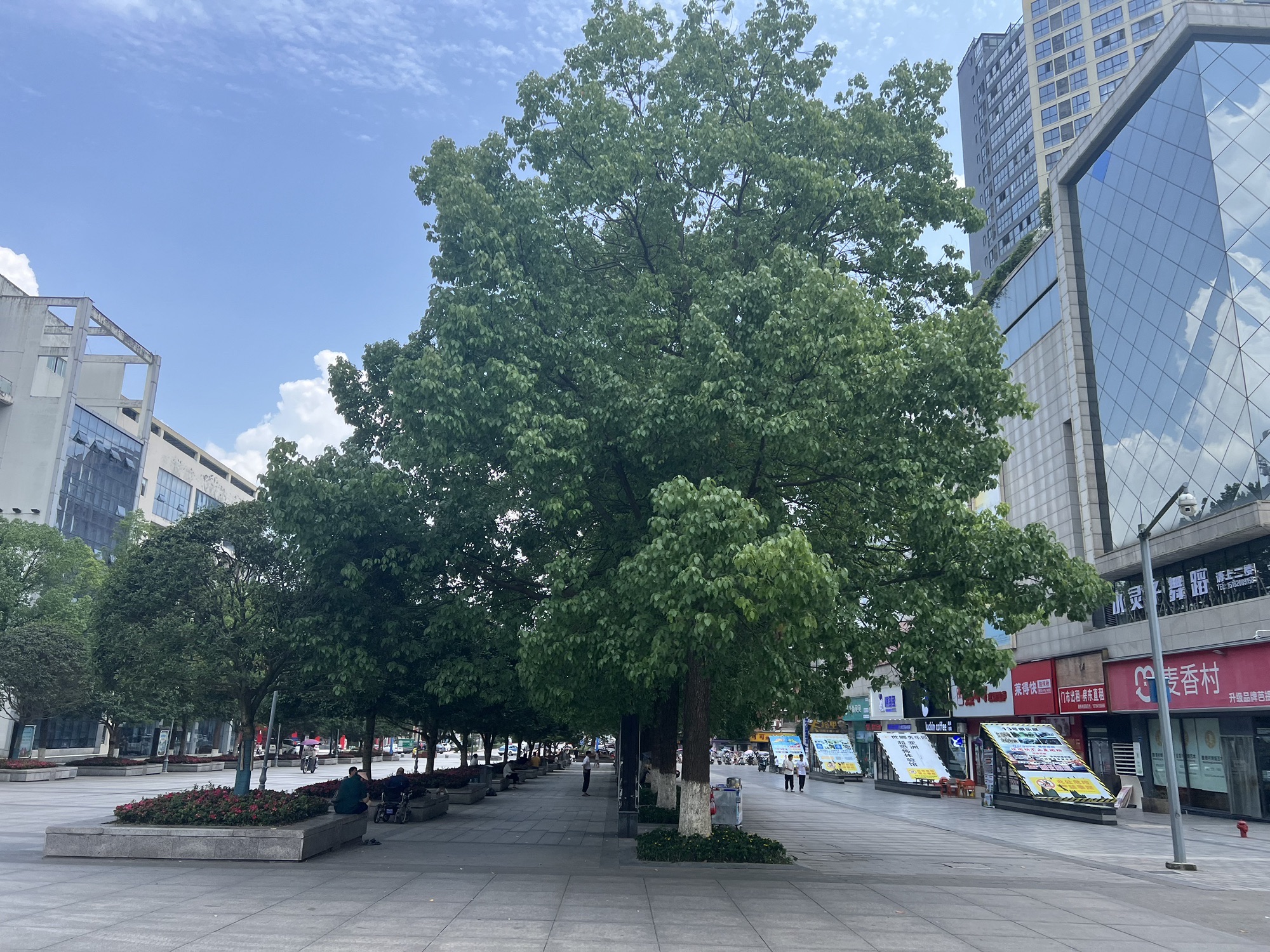 邻州广场旅行图片 2