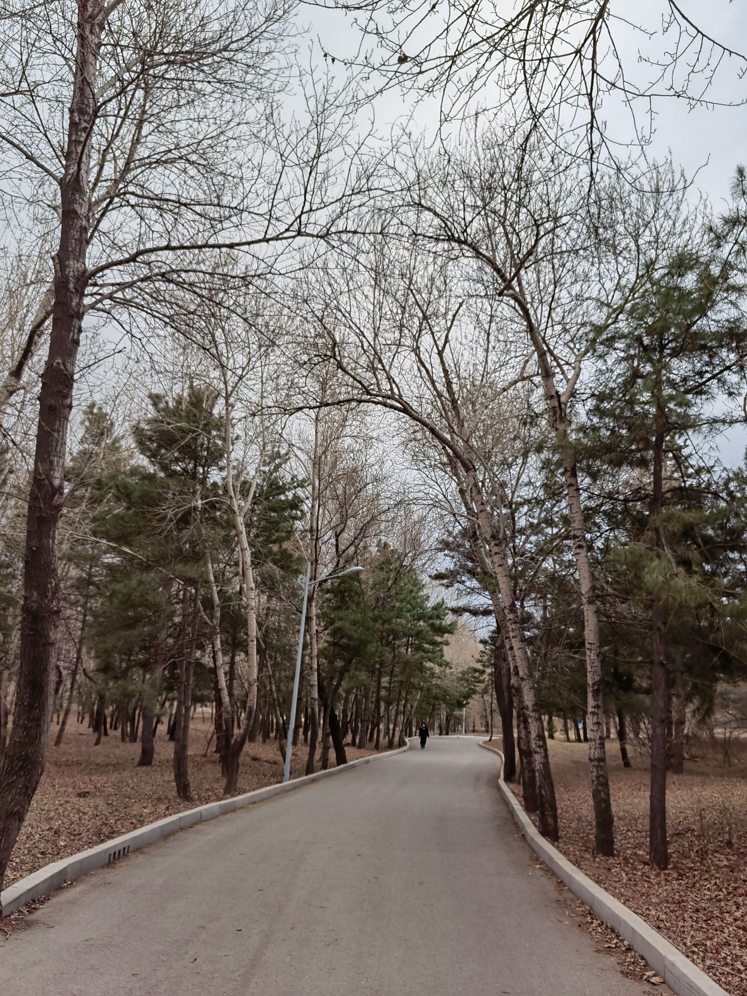 双合尔公园旅行图片 1