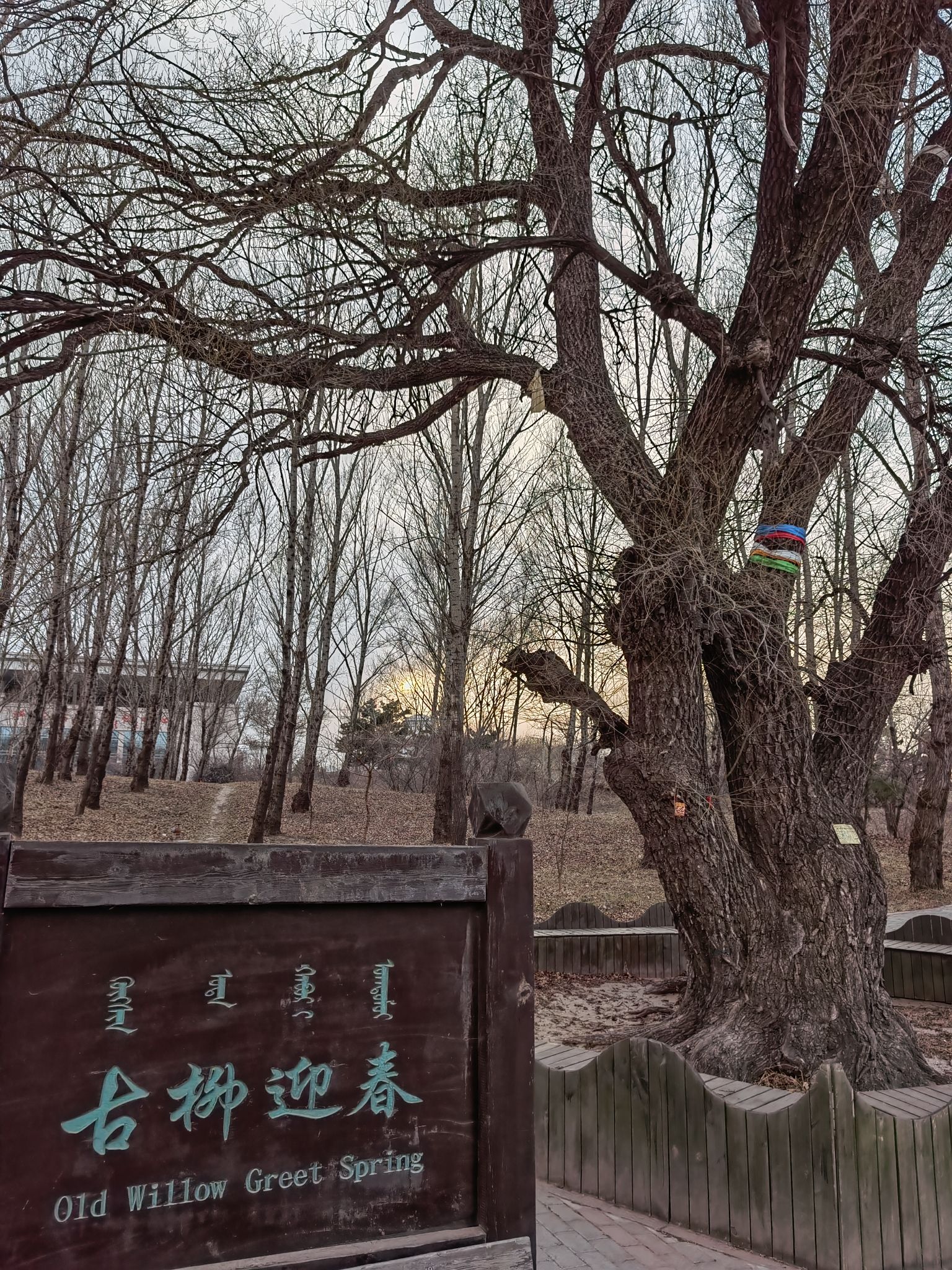 双合尔公园旅行图片 2
