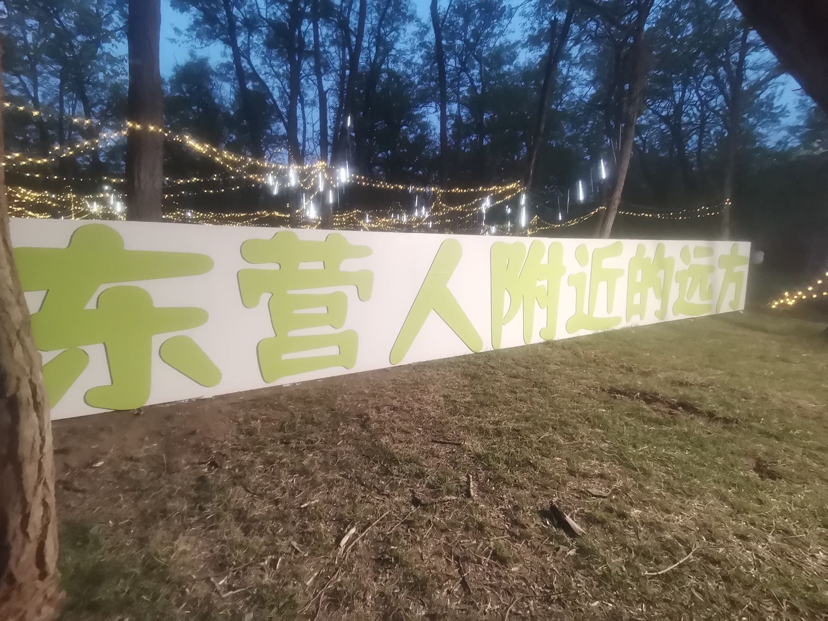 孤岛槐树林温泉旅游区旅行图片 3
