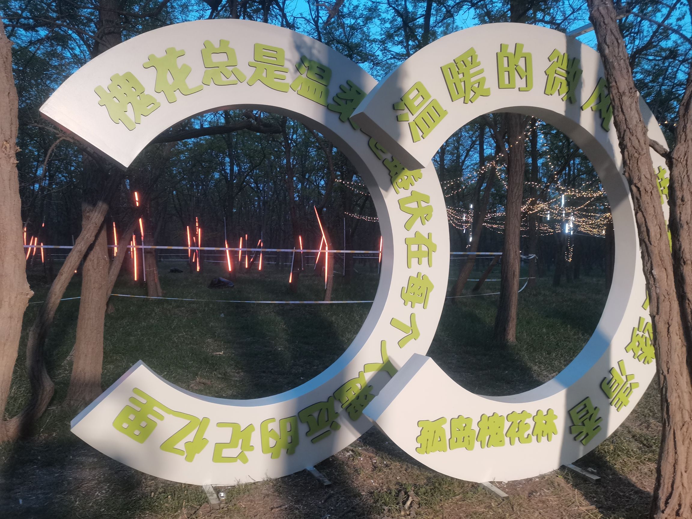 孤岛槐树林温泉旅游区旅行图片 2
