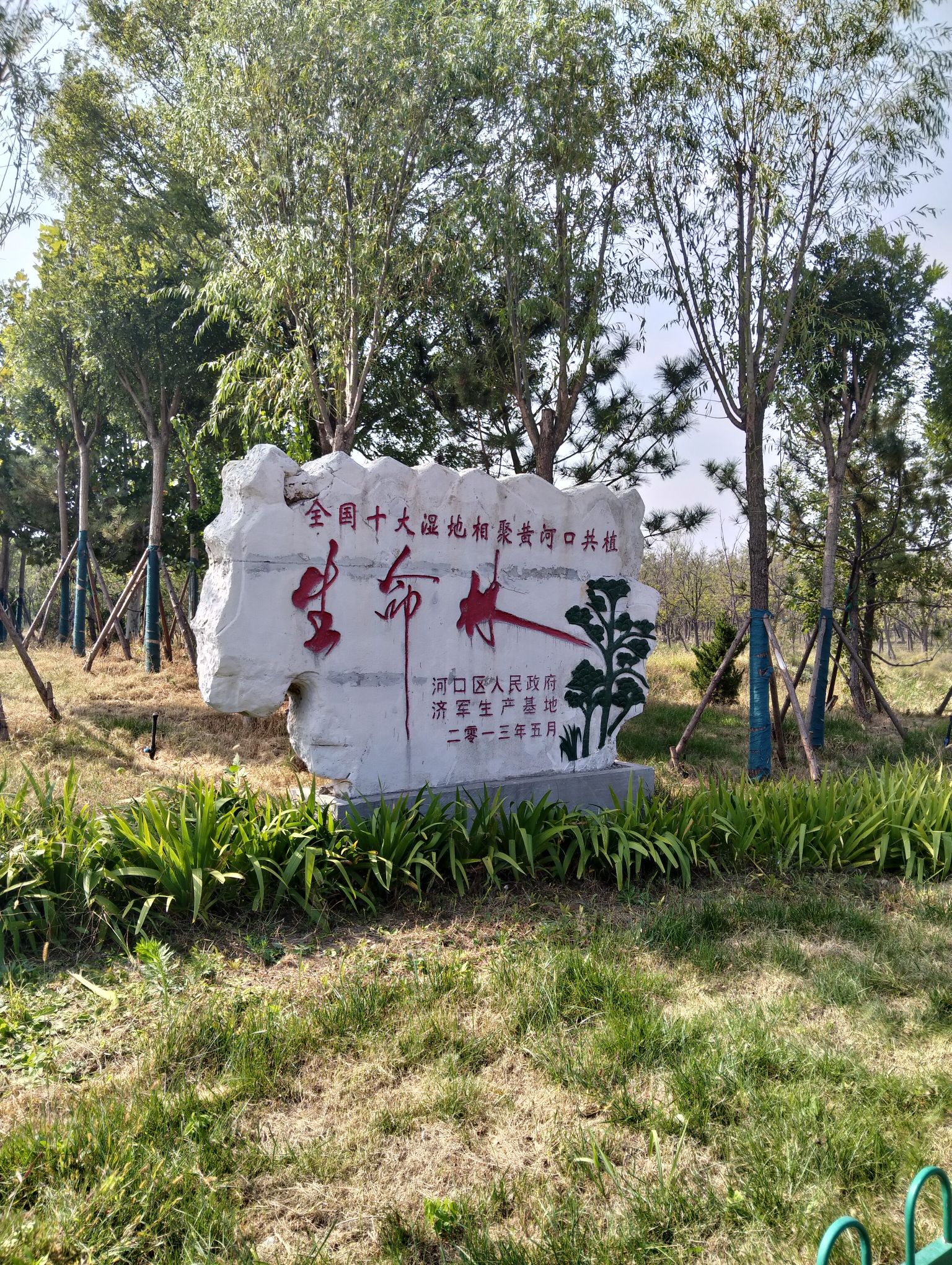 孤岛槐树林温泉旅游区旅行图片 2