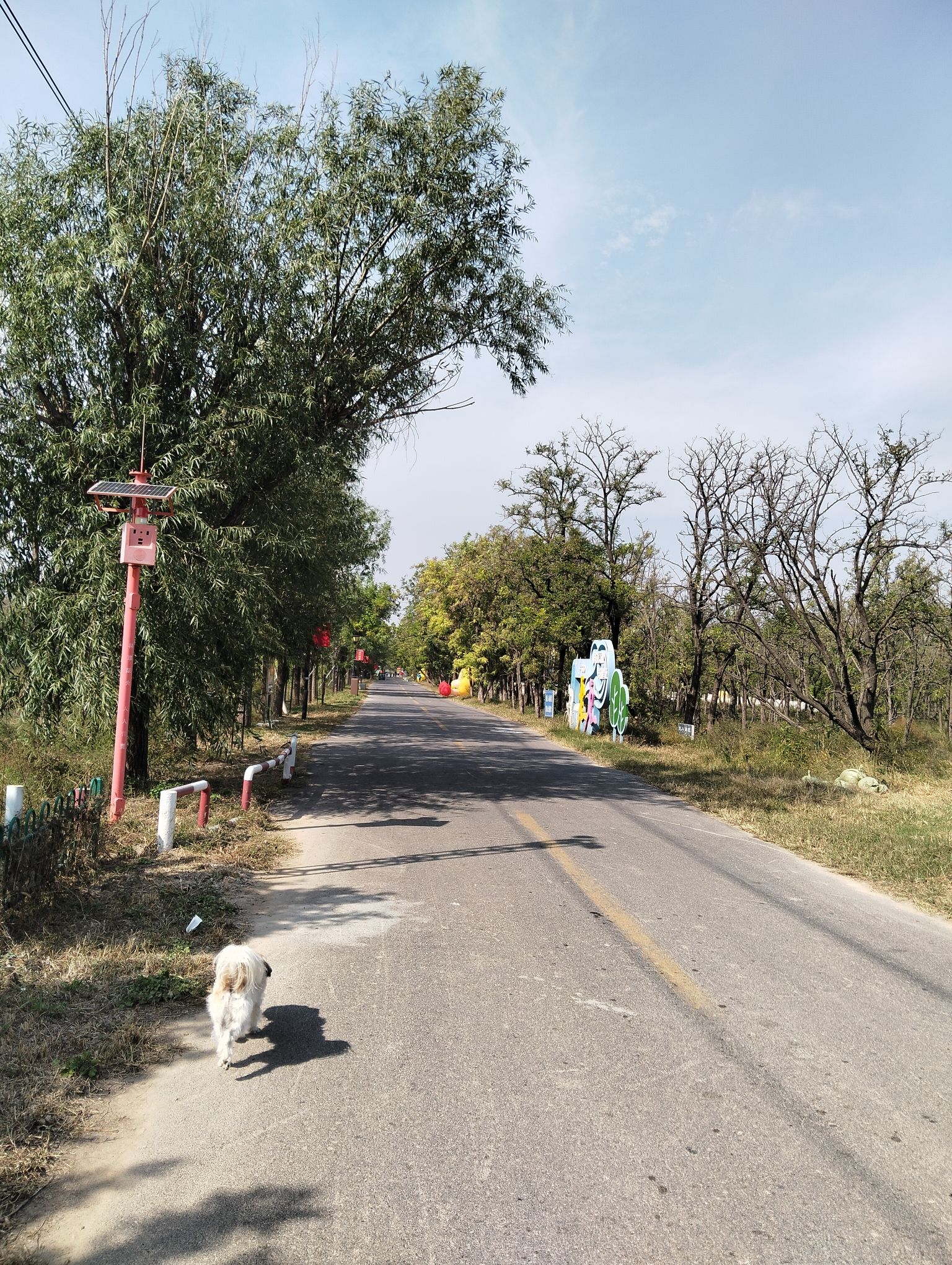 孤岛槐树林温泉旅游区旅行图片 3