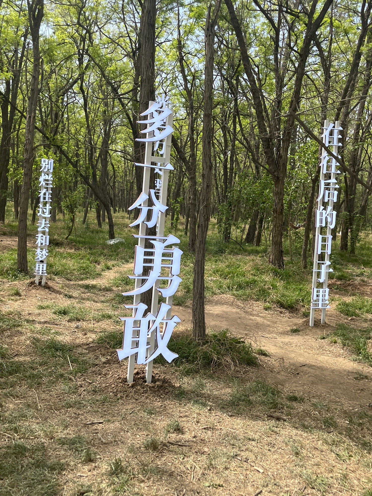 孤岛槐树林温泉旅游区旅行图片 2