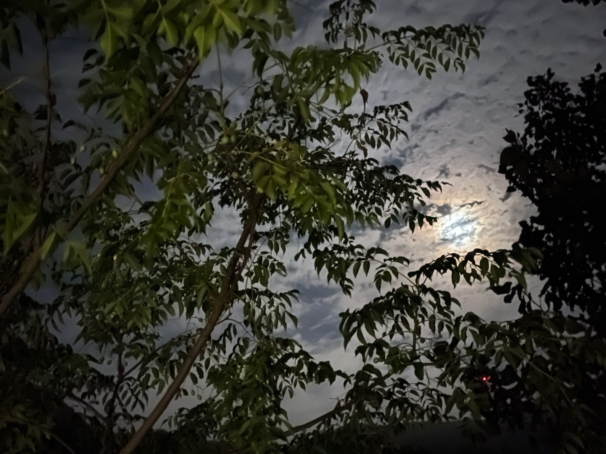 大隗山原生态度假景区旅行图片 1