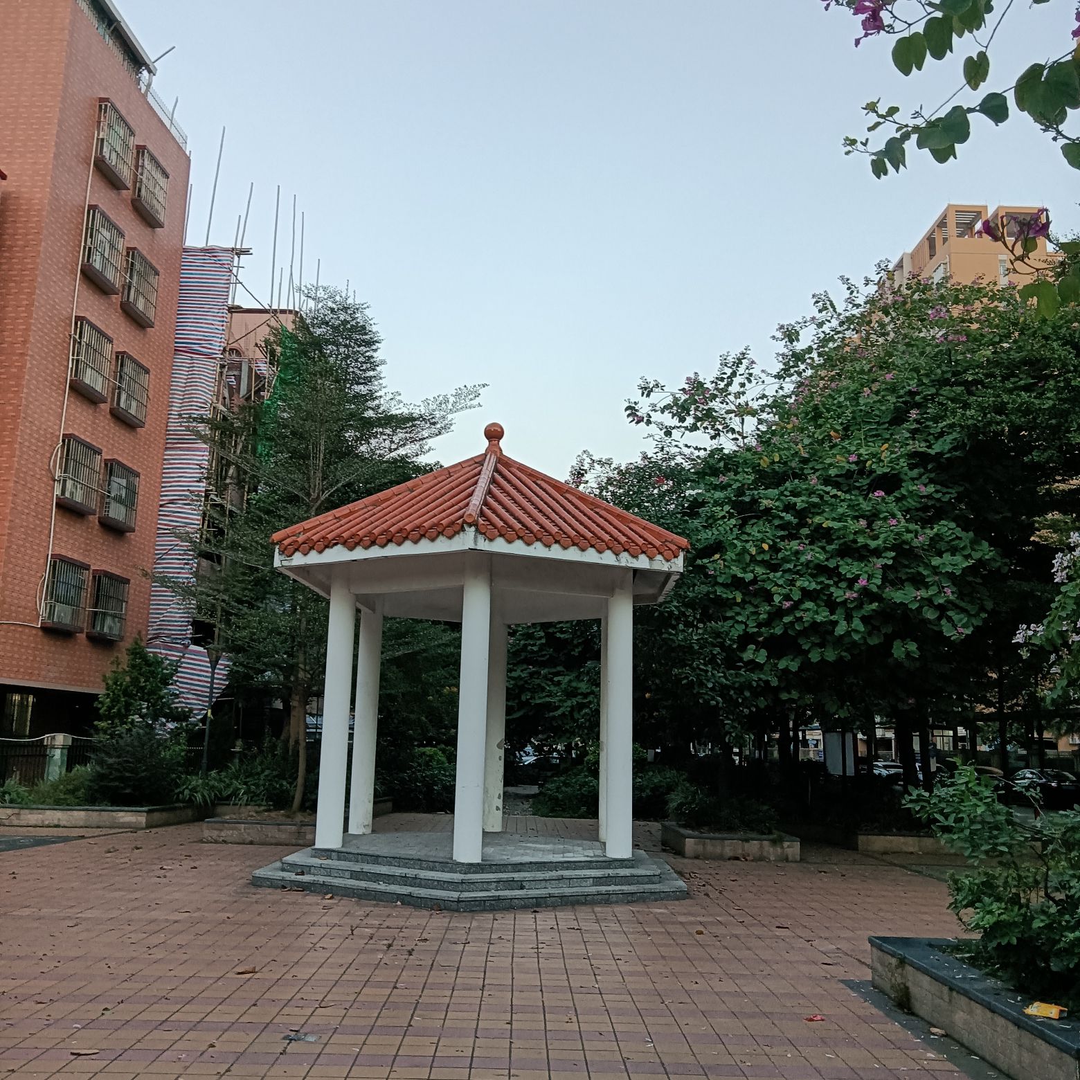 朗兴公园旅行图片 2