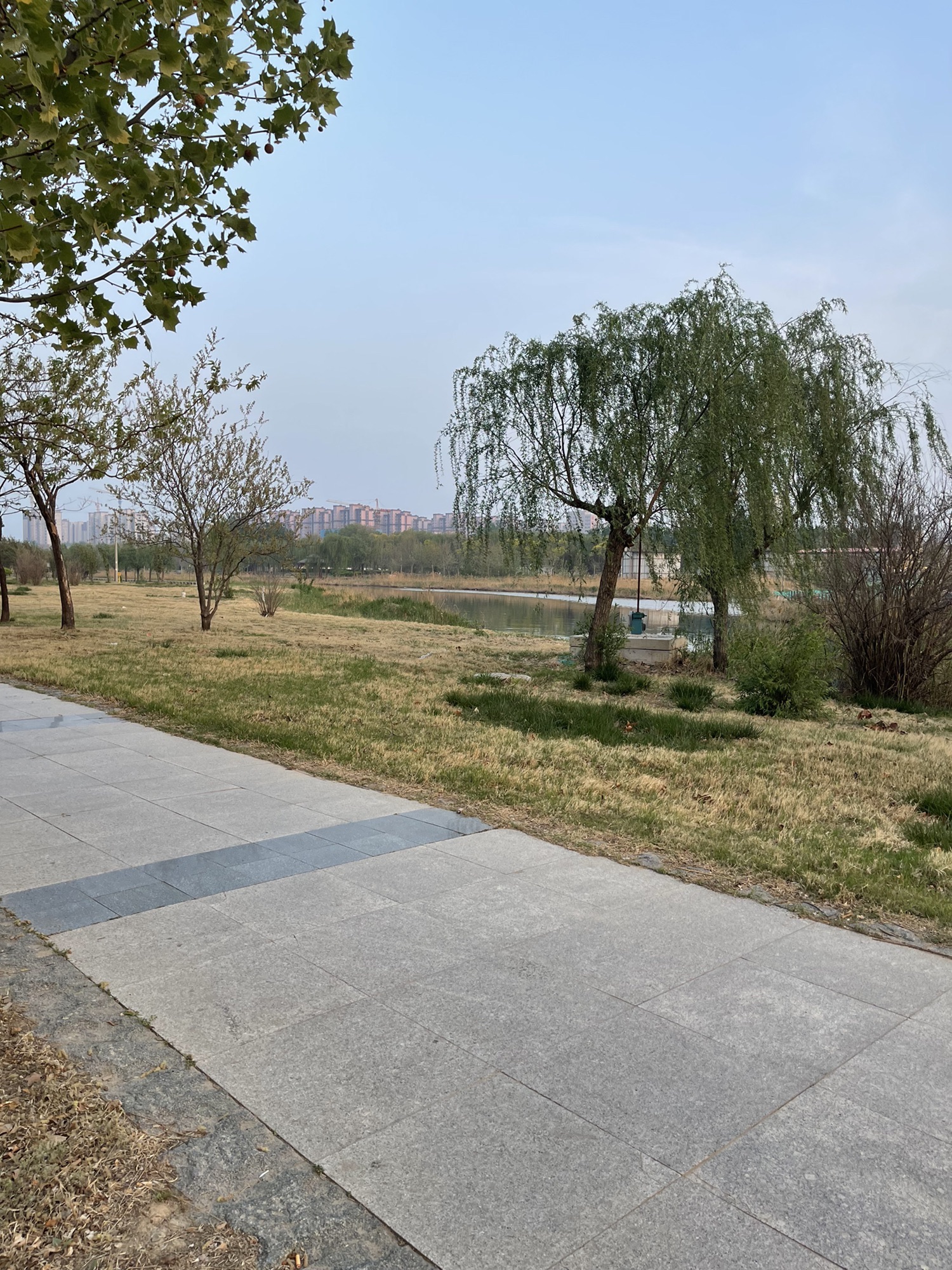 金水河公园旅行图片 2
