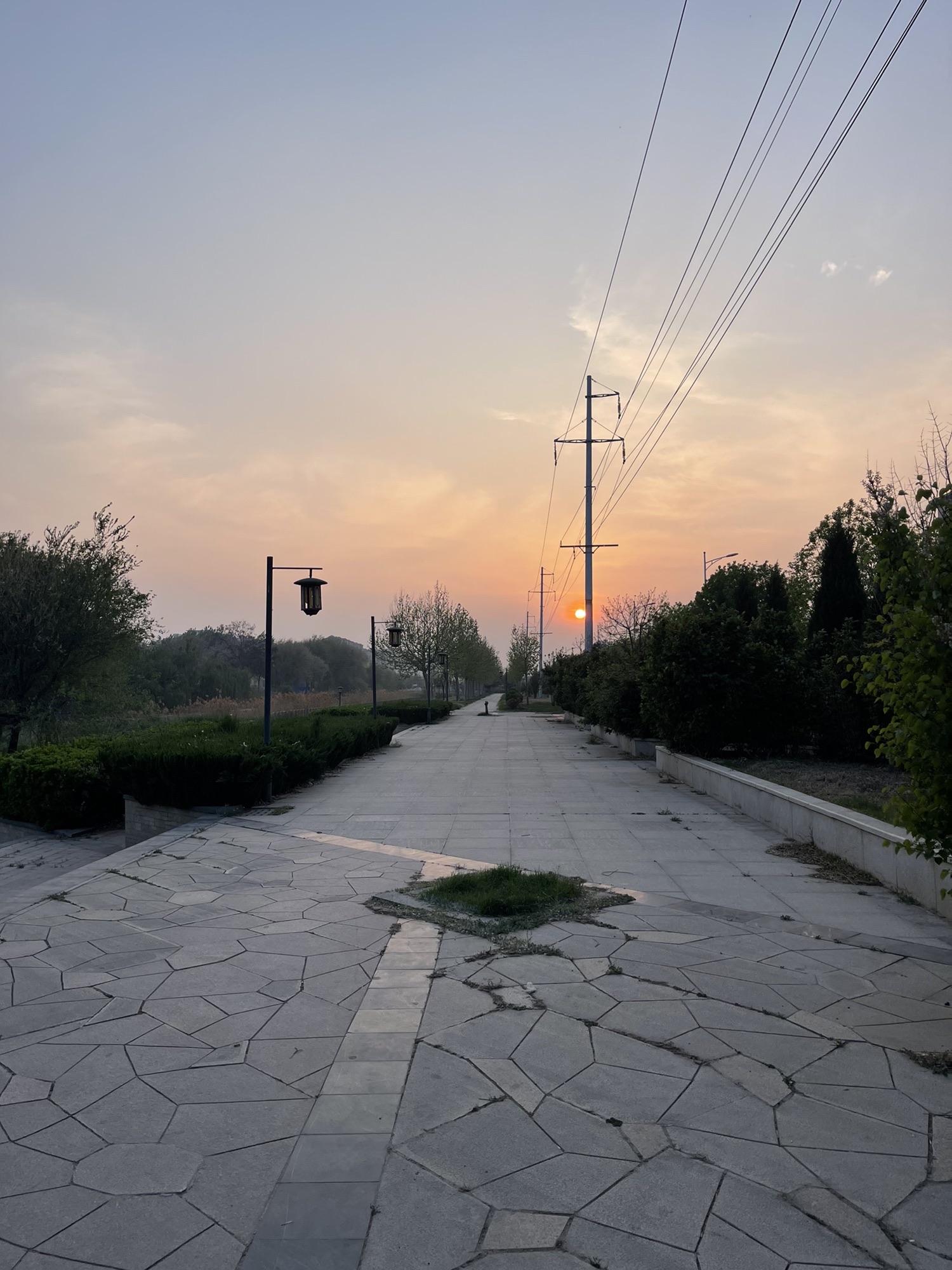 金水河公园旅行图片 3