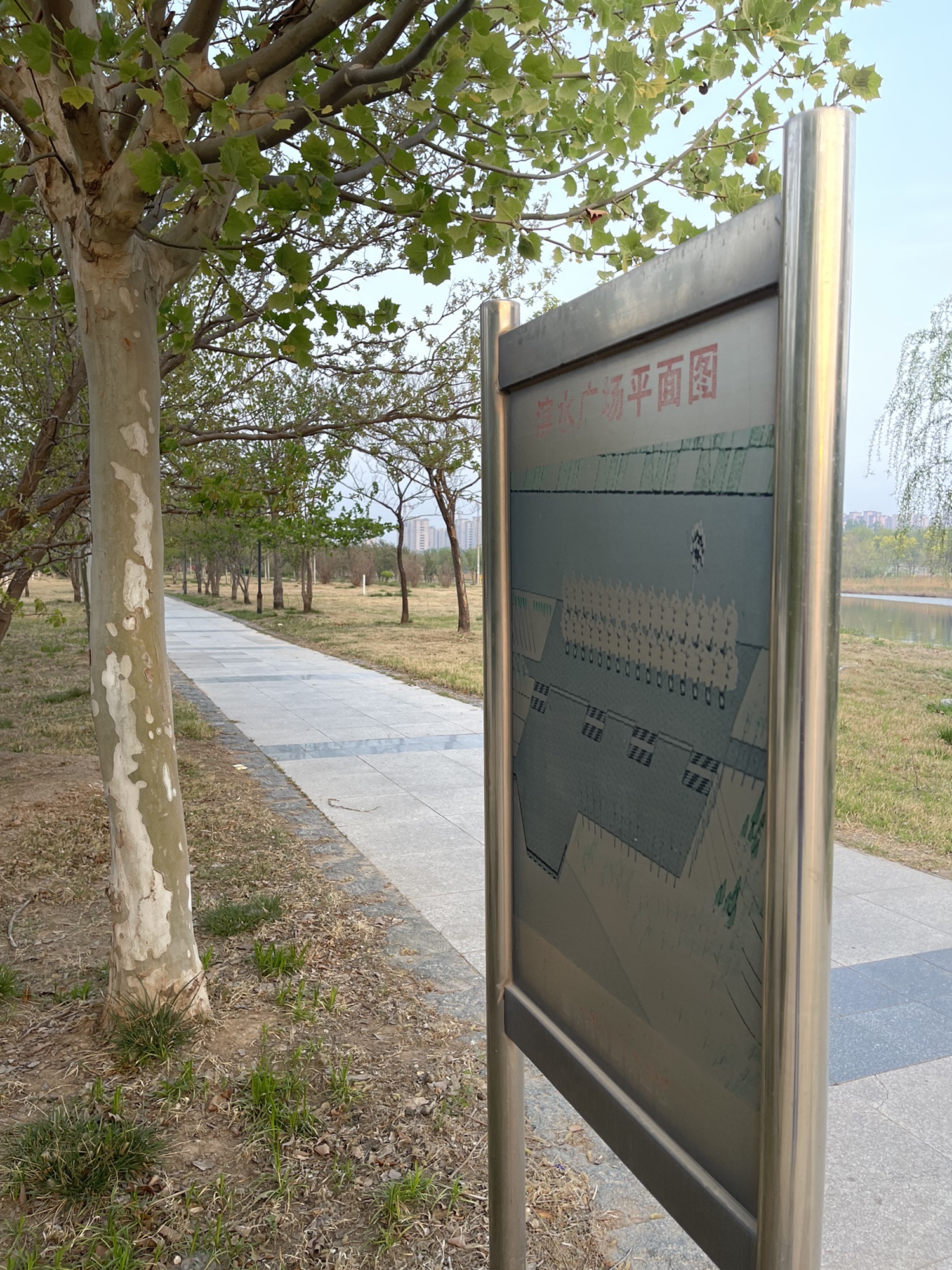 金水河公园