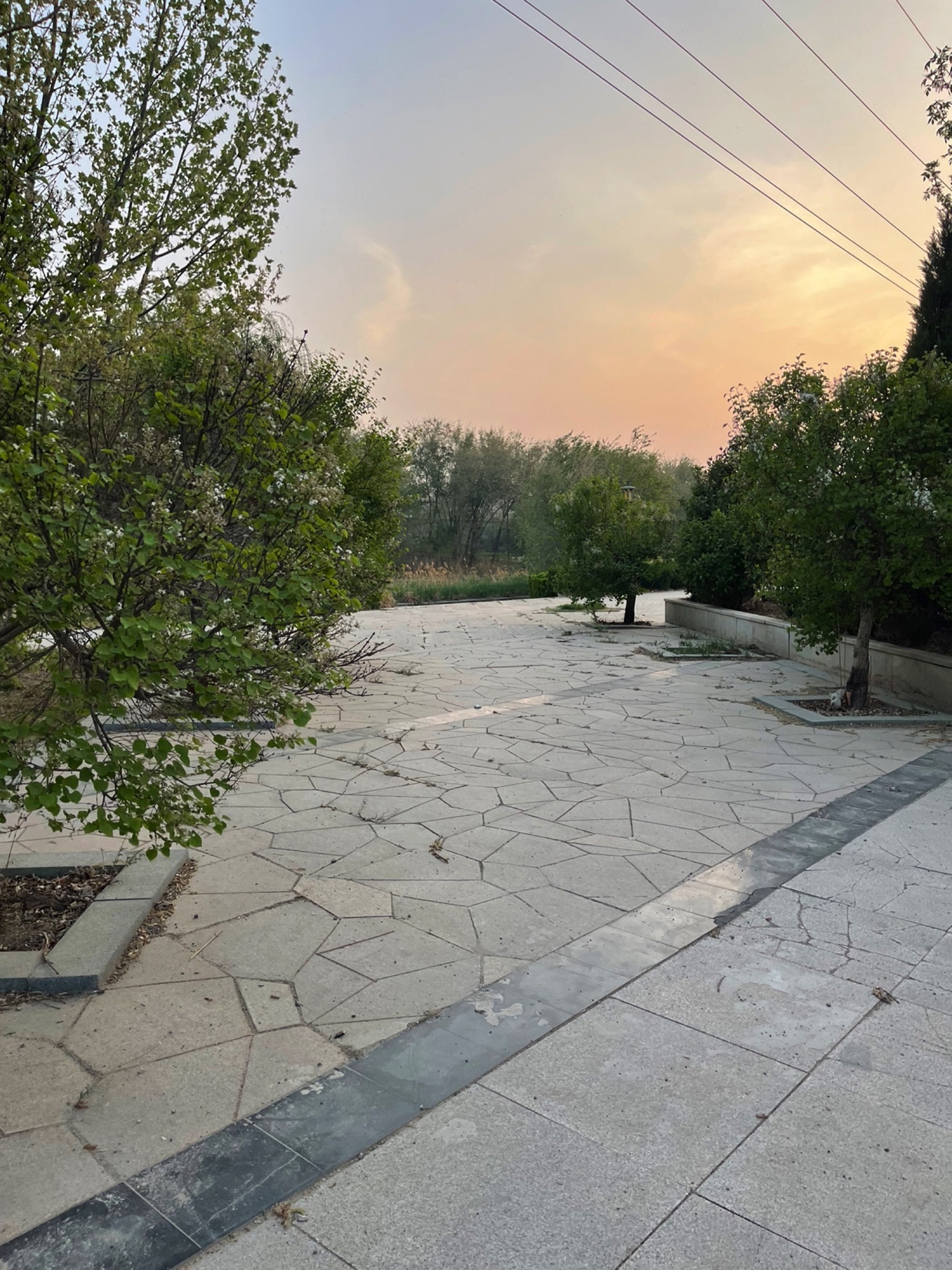 金水河公园旅行图片 1