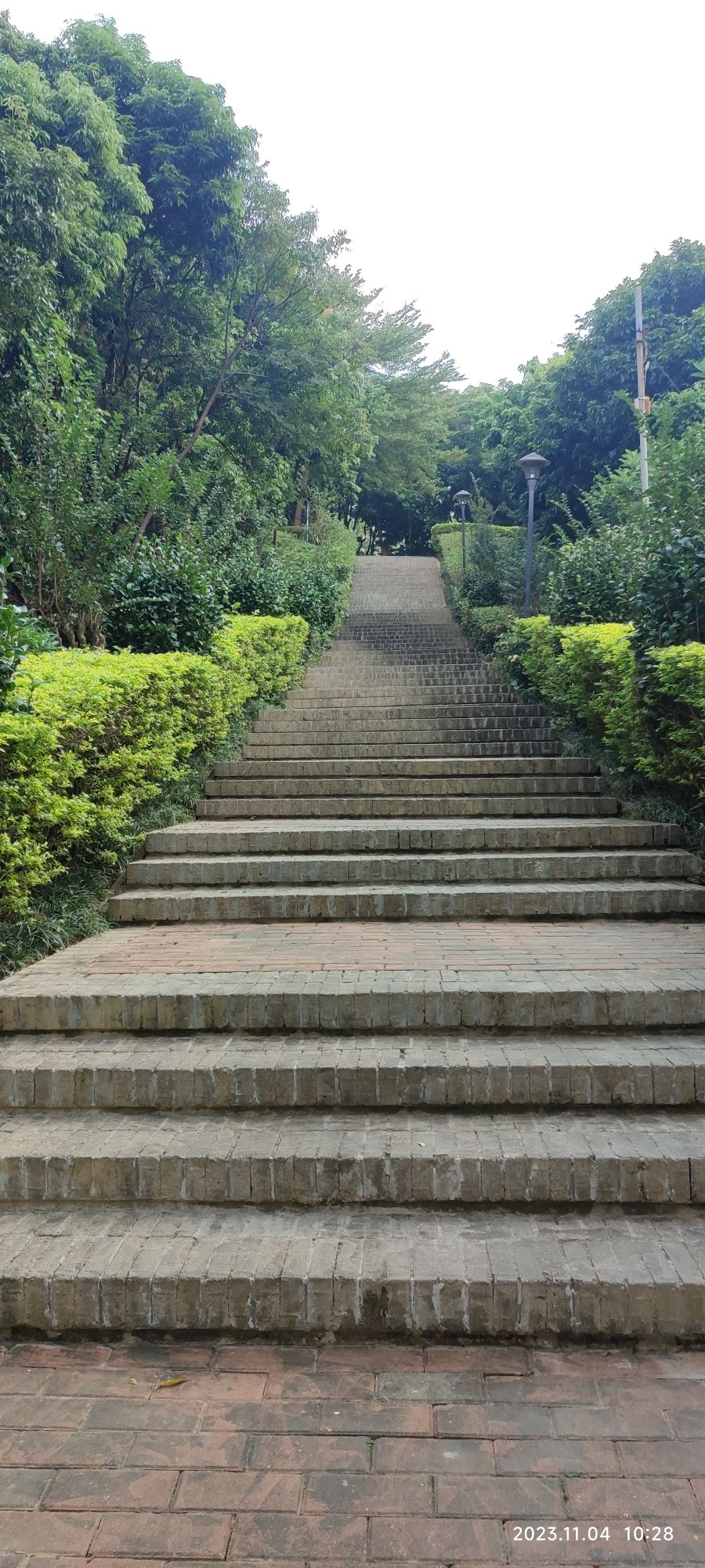 章阁背礼园社区公园旅行图片 2