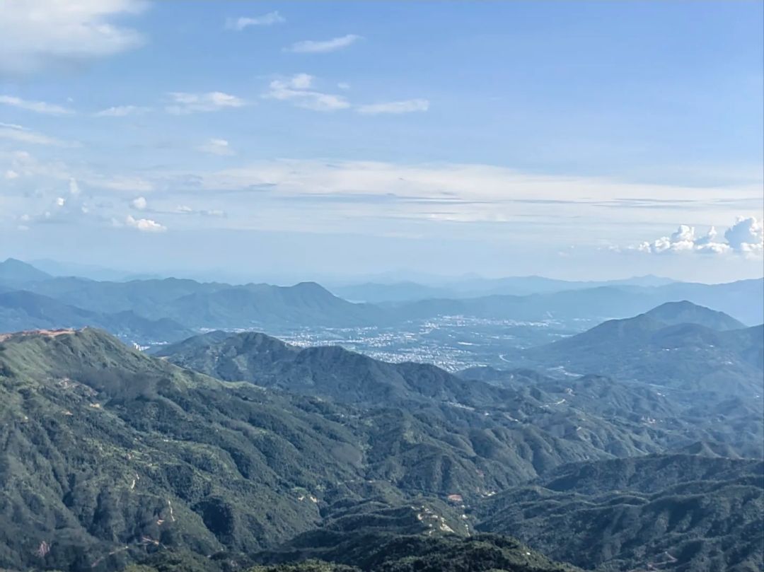 西岩山省级森林公园旅行图片 2