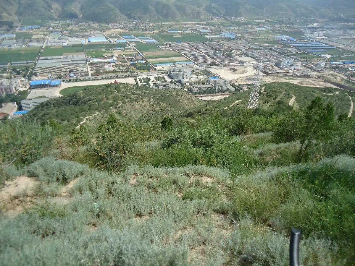 西岩山省级森林公园旅行图片 2