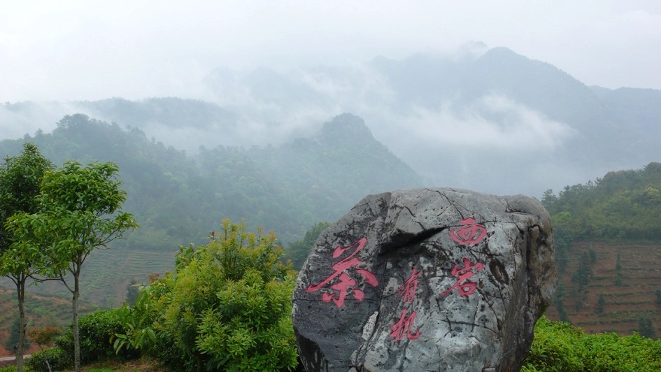 西岩山省级森林公园旅行图片 3