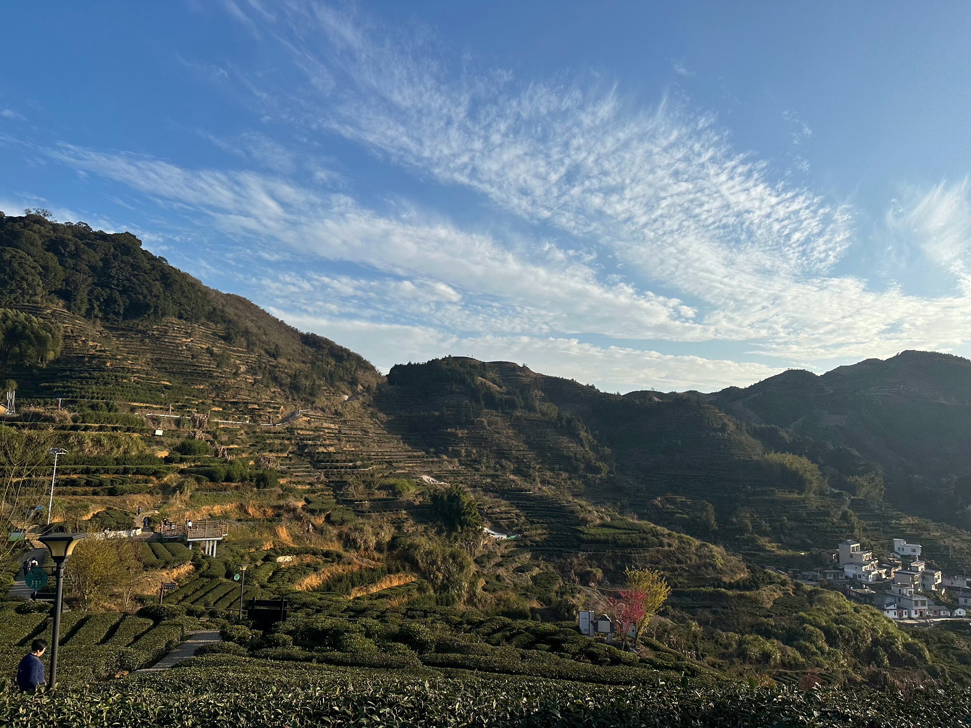 西岩山省级森林公园旅行图片 3