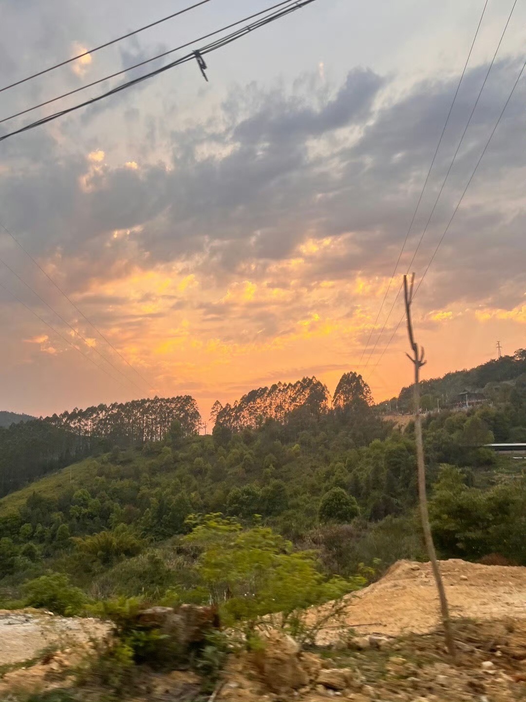 西岩山省级森林公园旅行图片 2