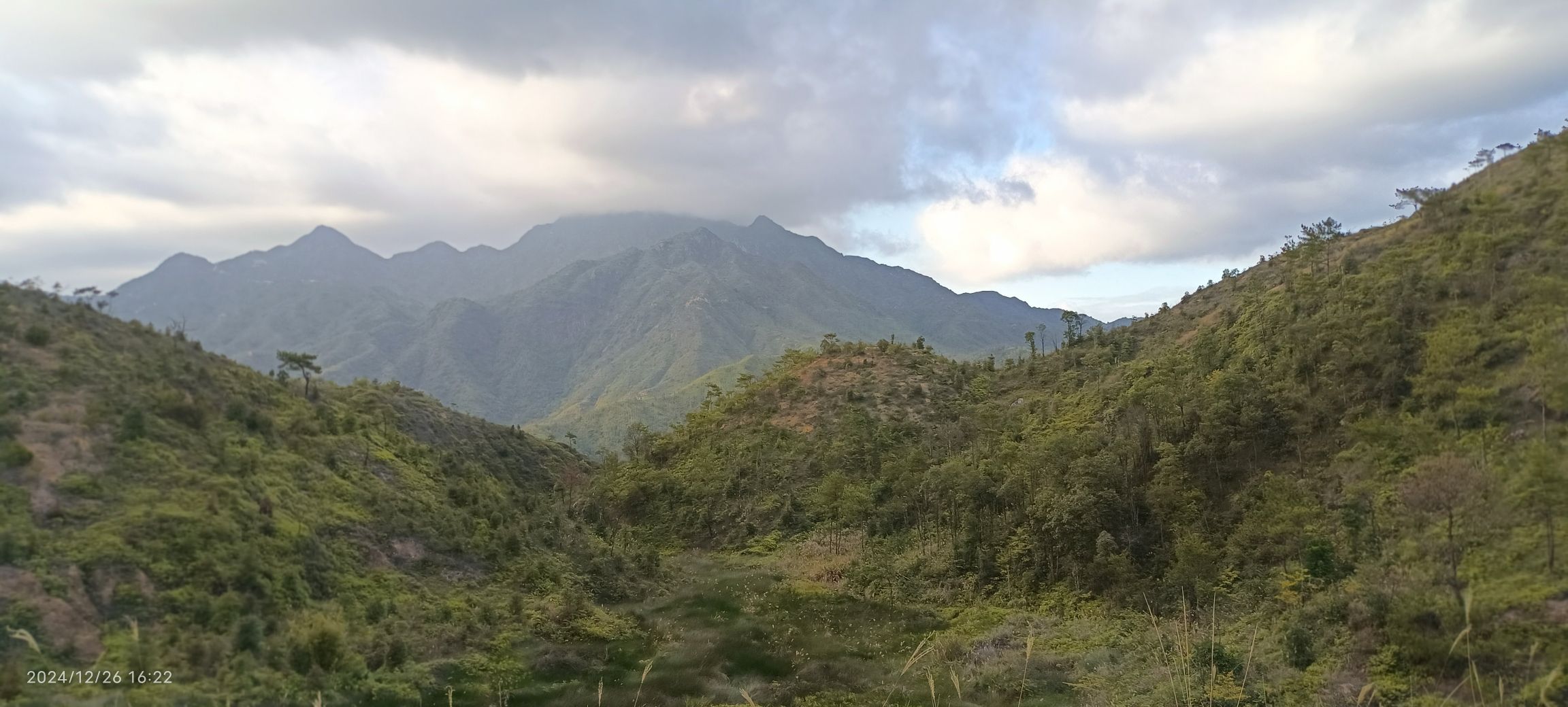西岩山省级森林公园旅行图片 2