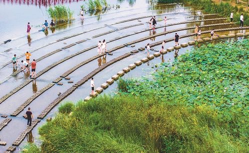 玉珠湖公园旅行图片 2