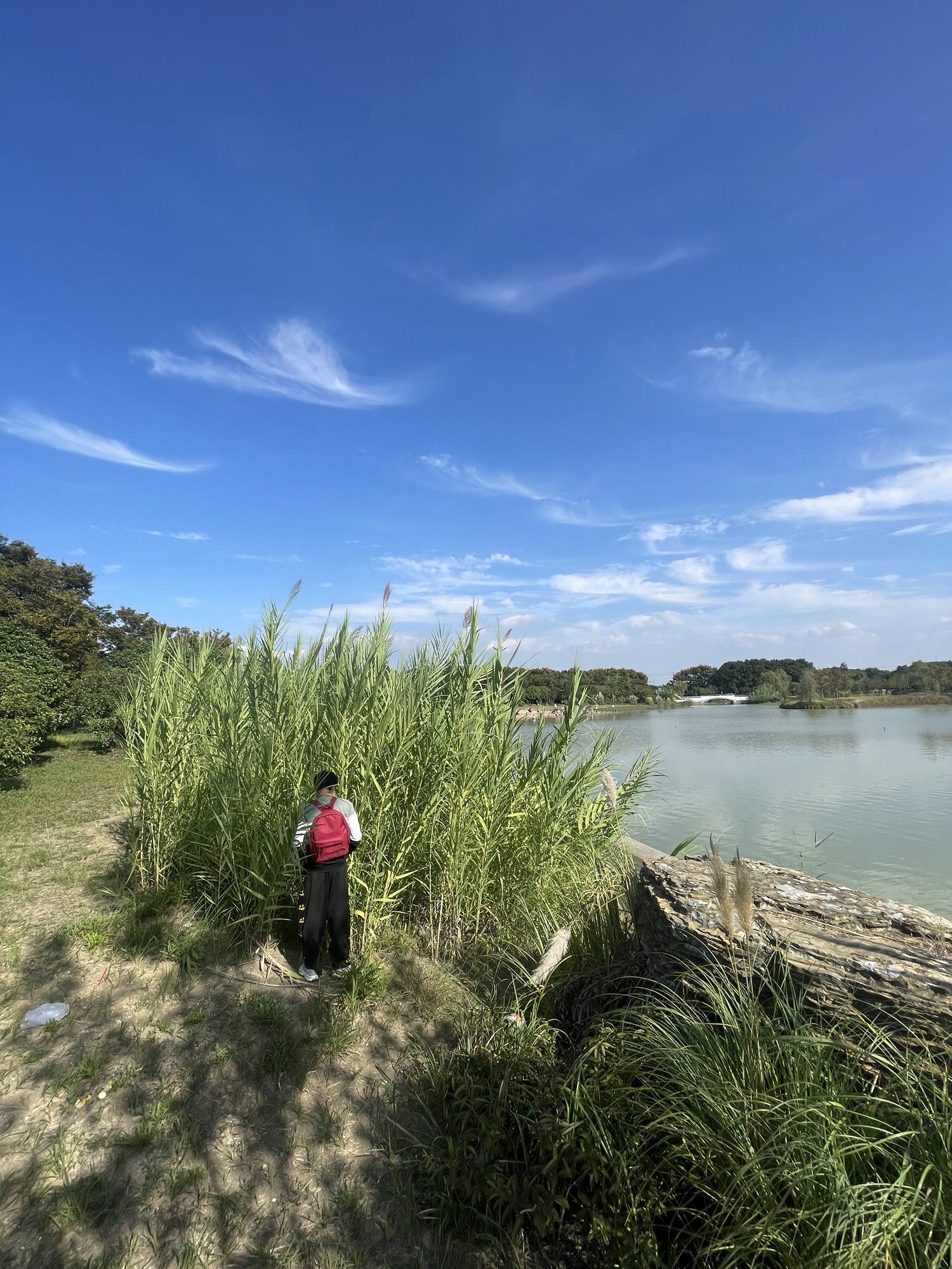 玉珠湖公园旅行图片 3