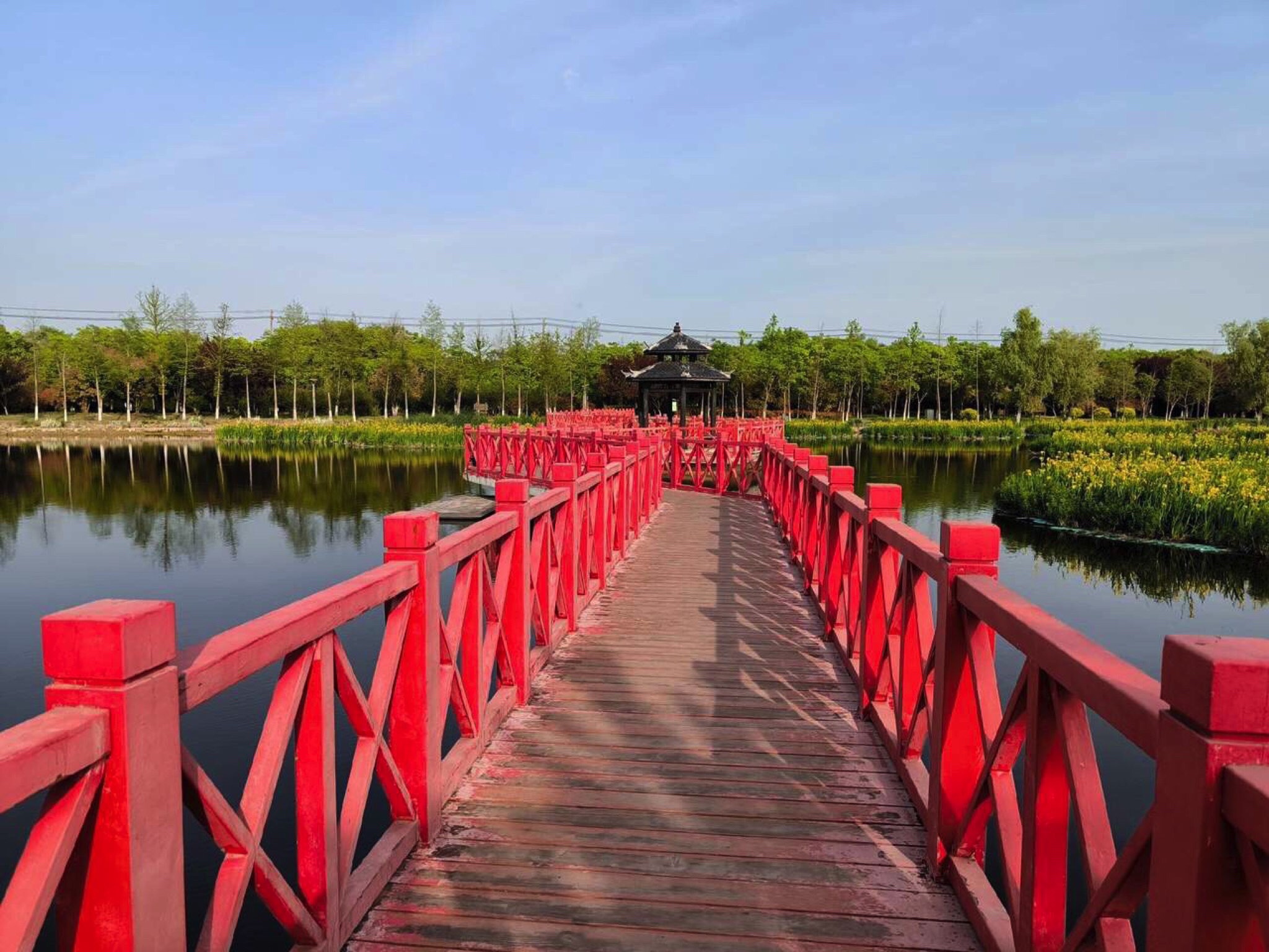 玉珠湖公园旅行图片 2