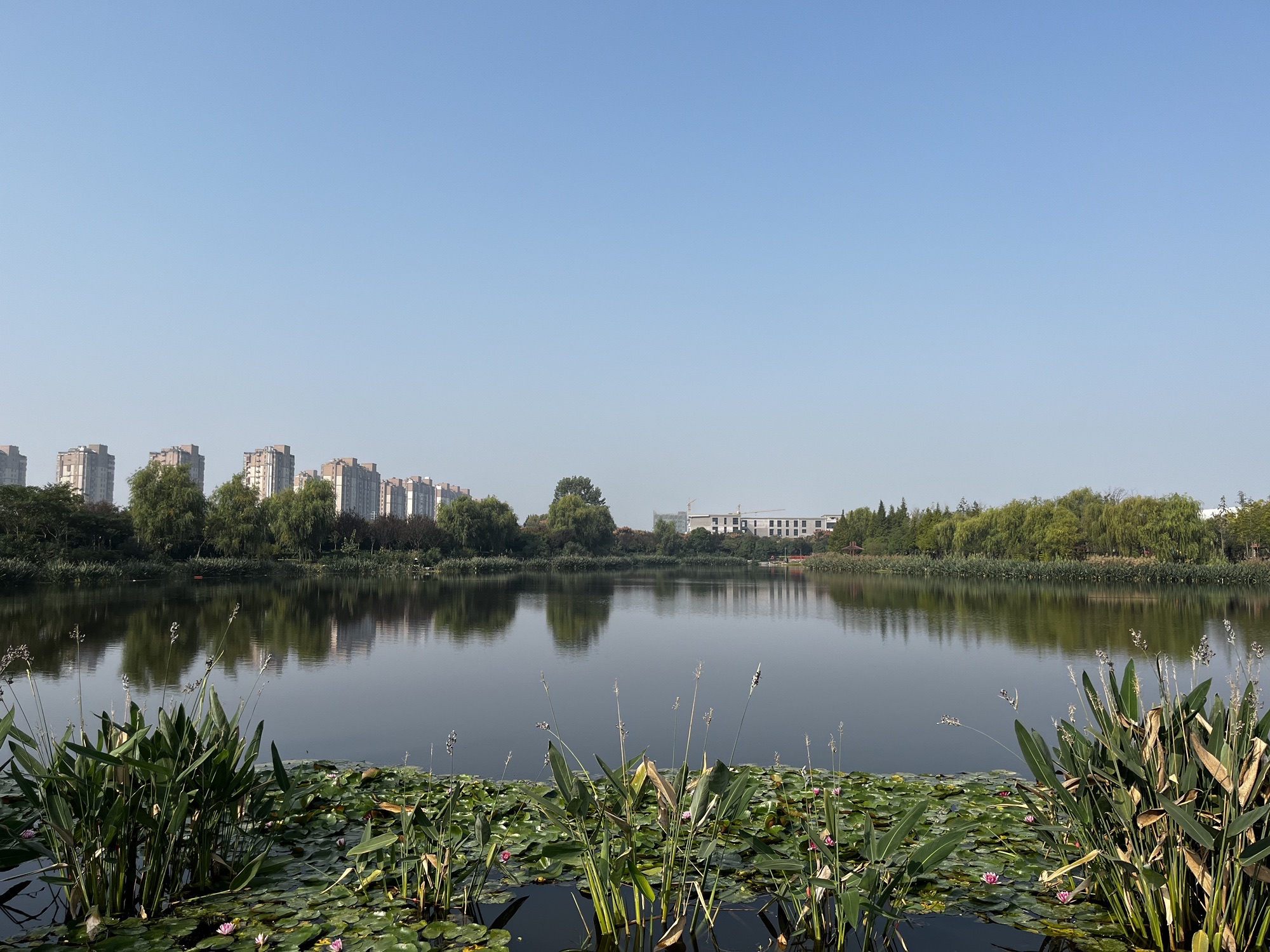 玉珠湖公园