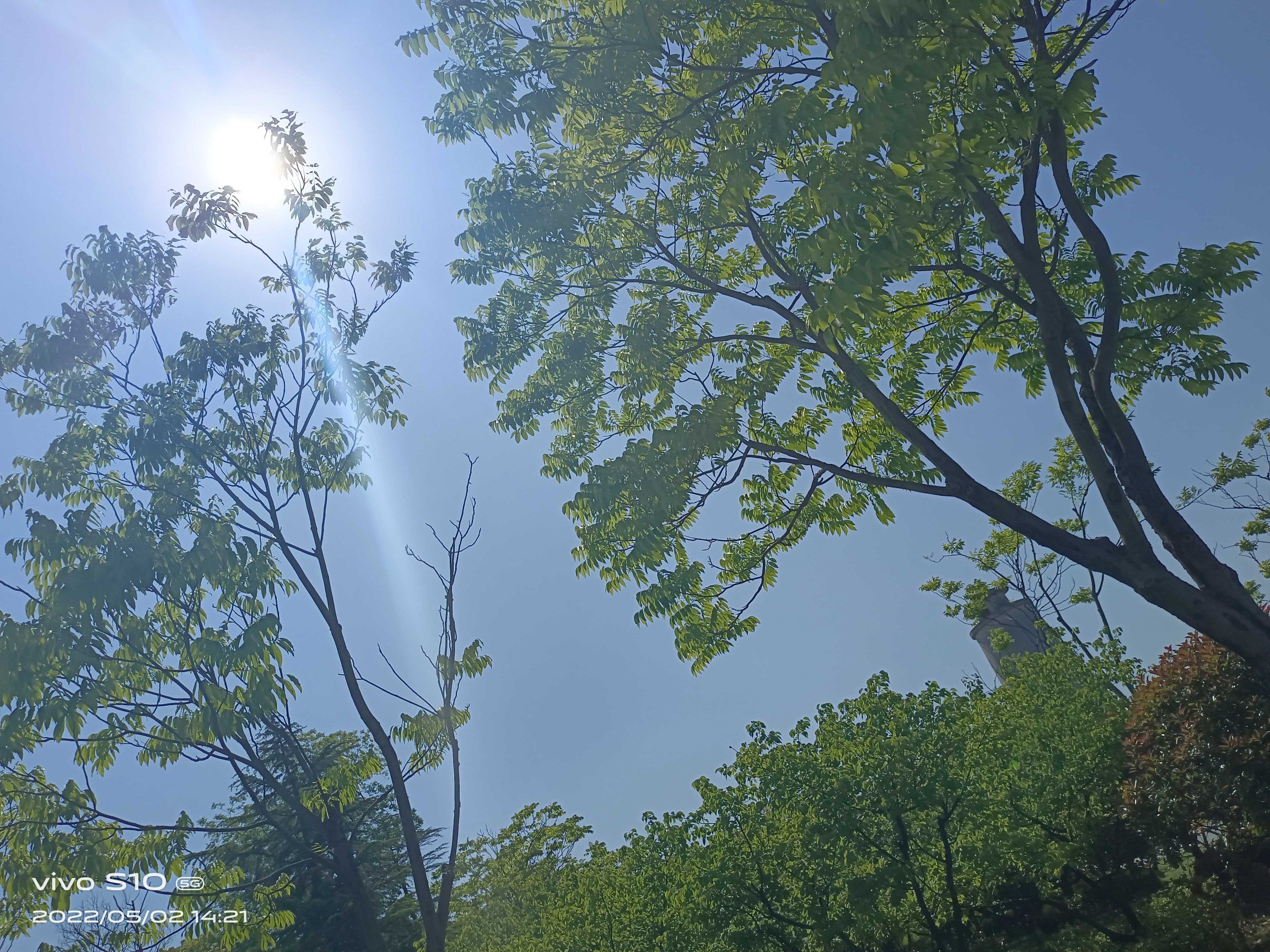 玉珠湖公园旅行图片 3