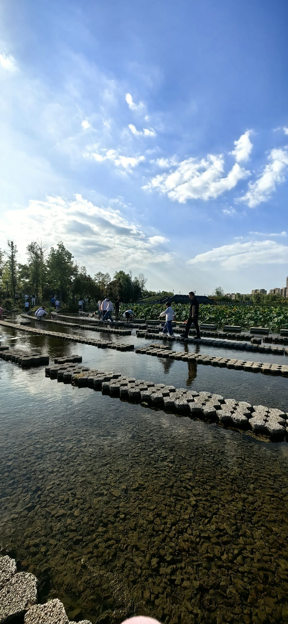 玉珠湖公园旅行图片 2