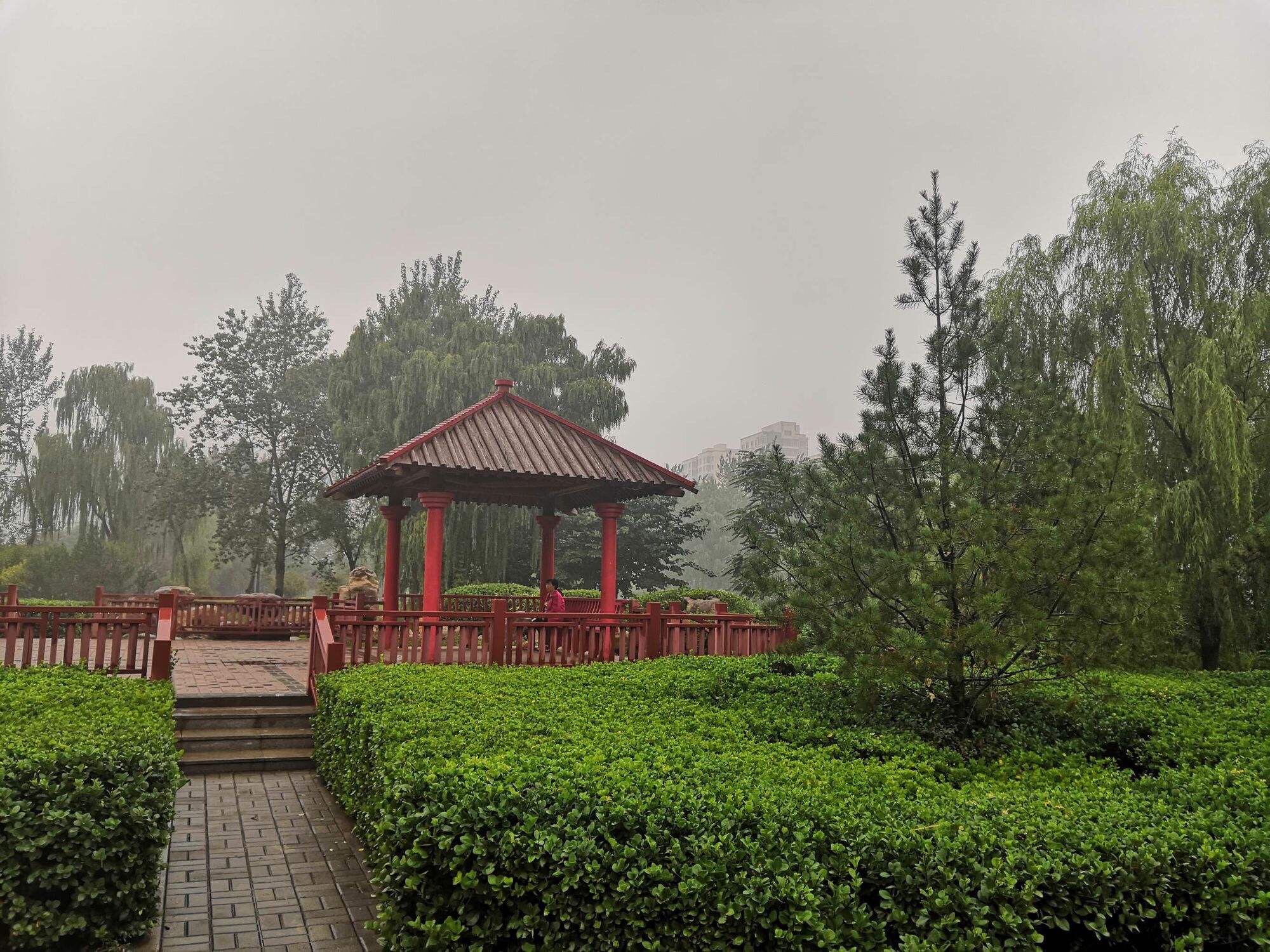 东明南华公园旅行图片 2