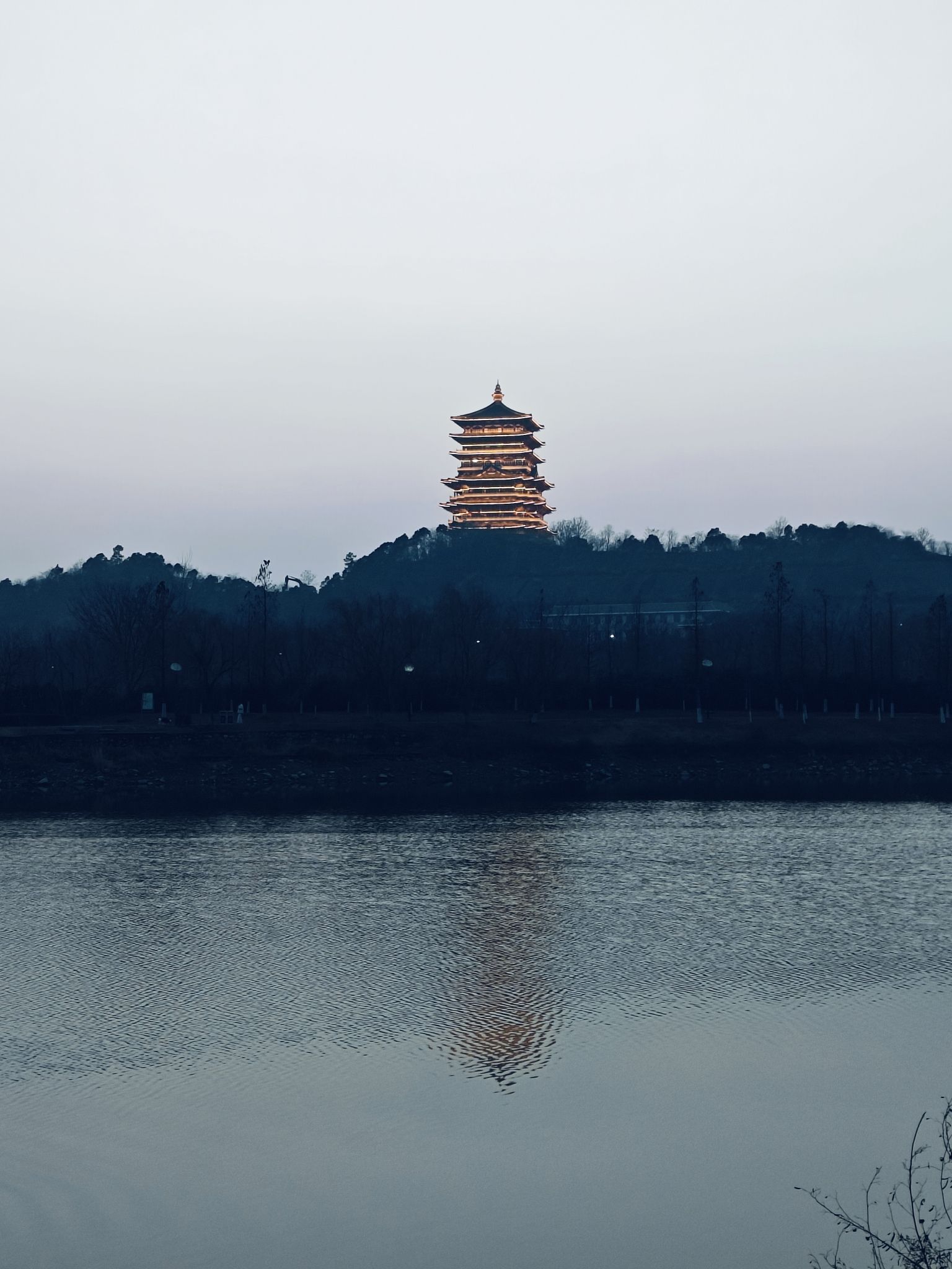 洋港湿地公园旅行图片 1