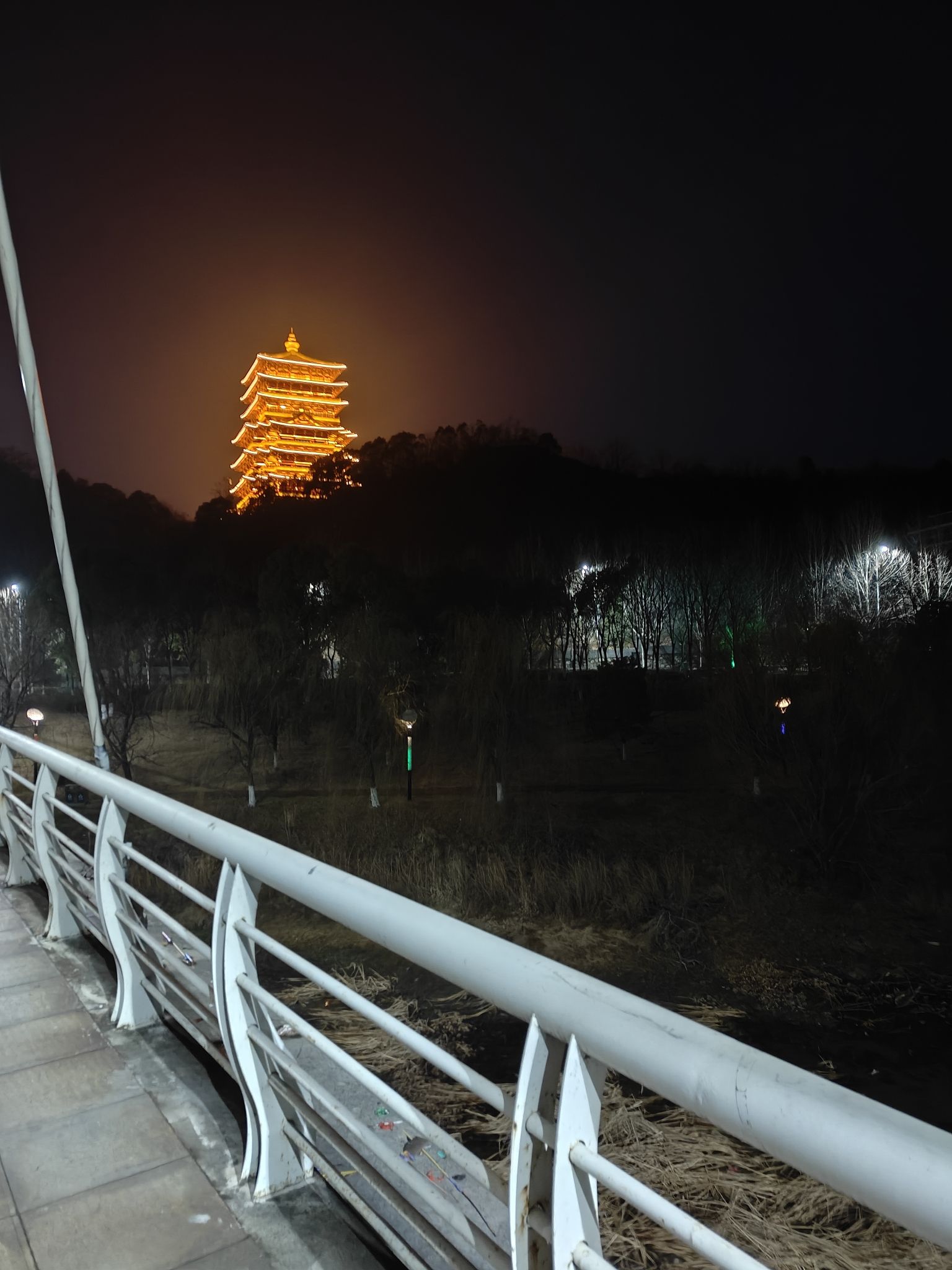 洋港湿地公园旅行图片 2