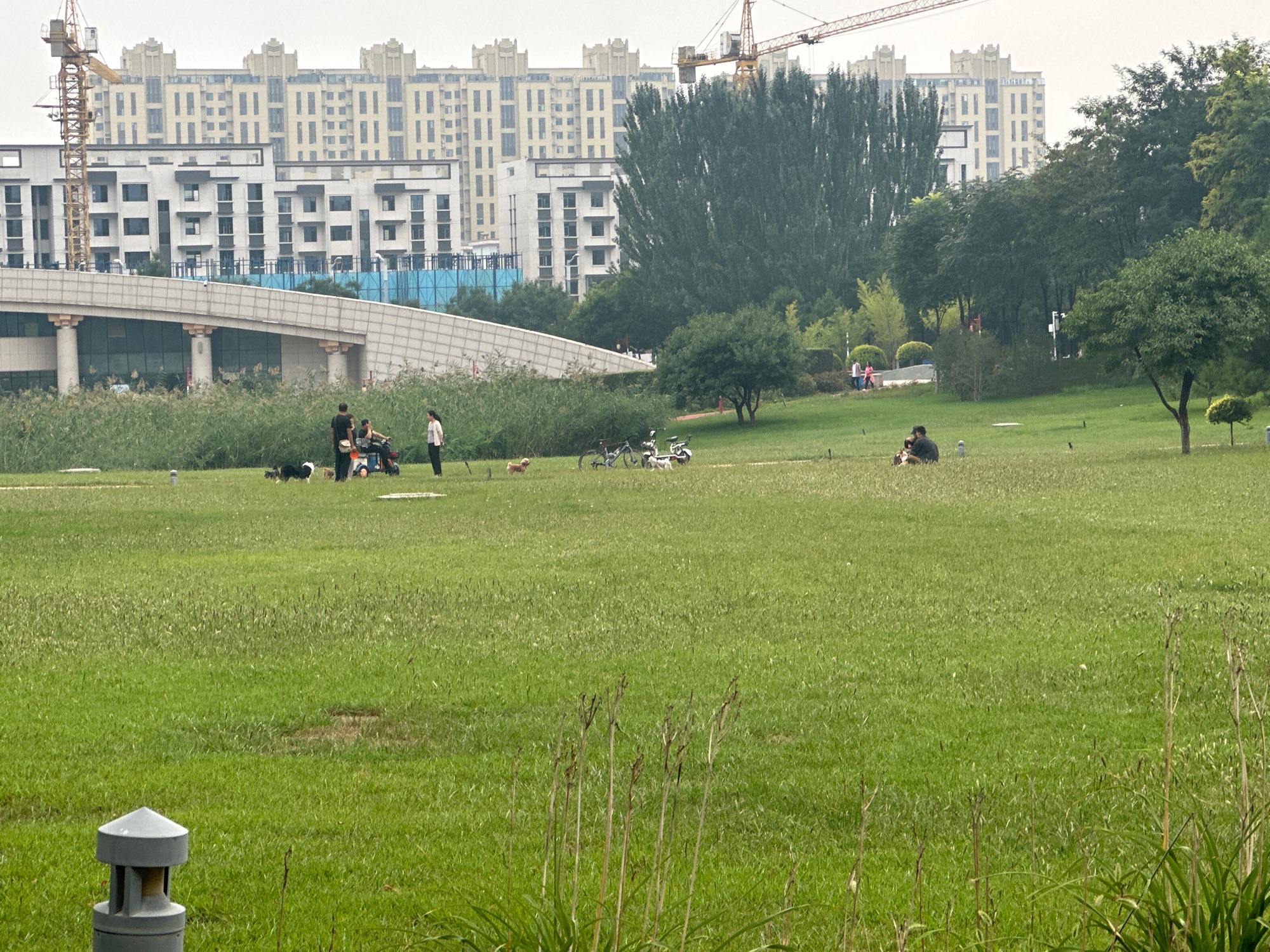 社火公园旅行图片 3