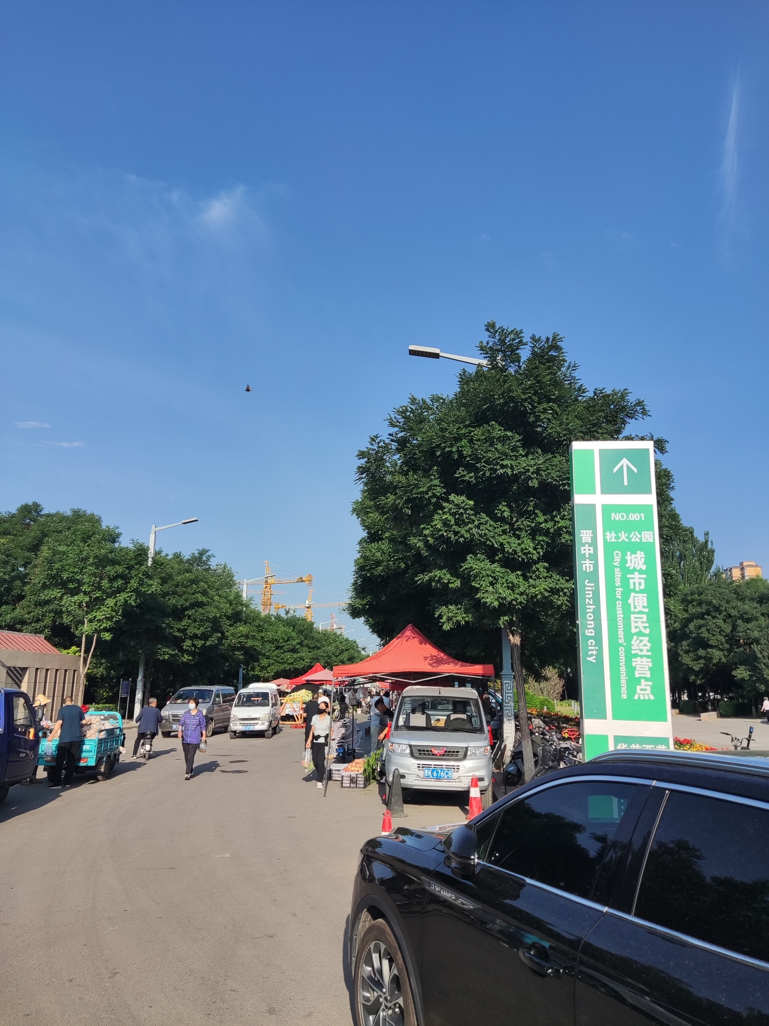 社火公园旅行图片 2