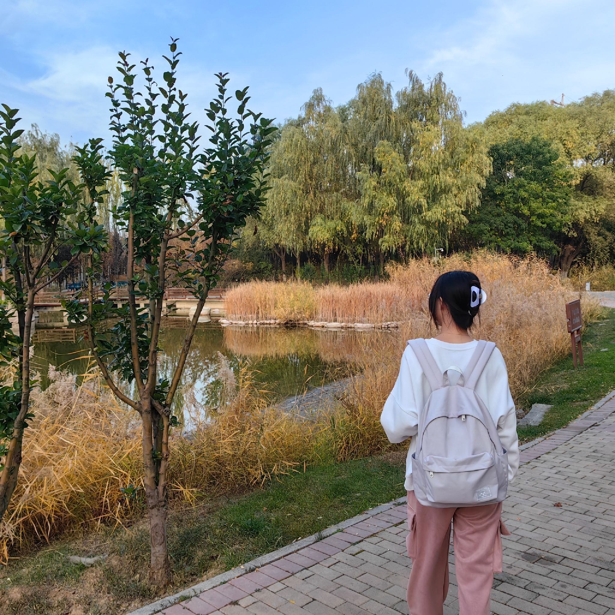 社火公园旅行图片 1