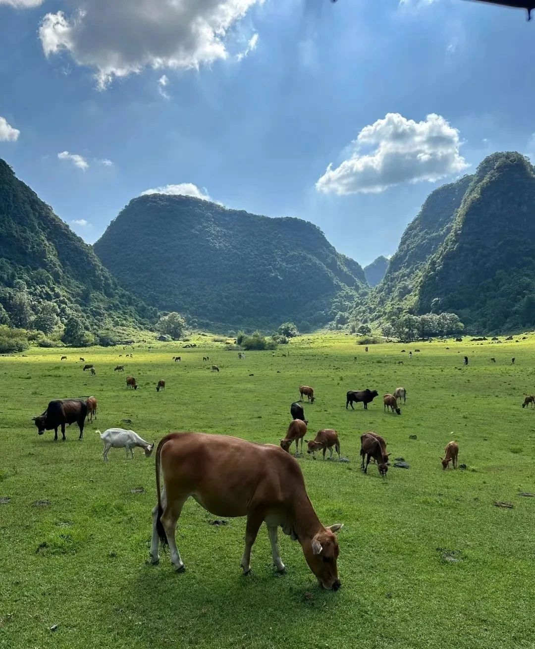 响水风景区旅行图片 2