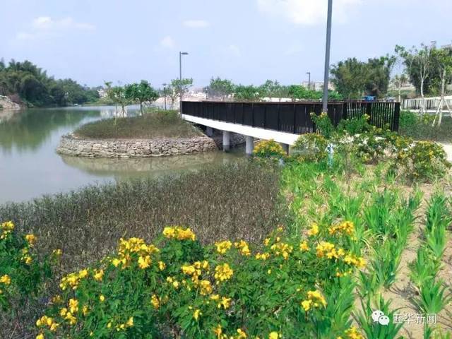 琴江公园