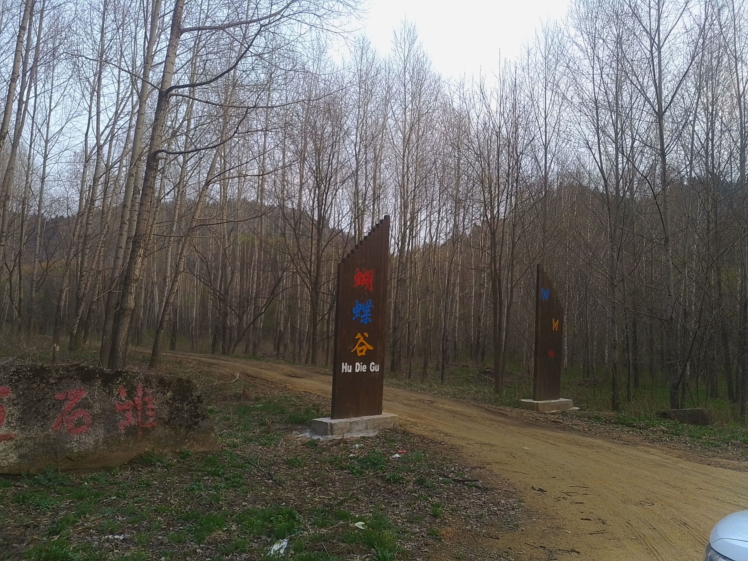 吉林白石山国家森林公园(暂停开放)旅行图片 3