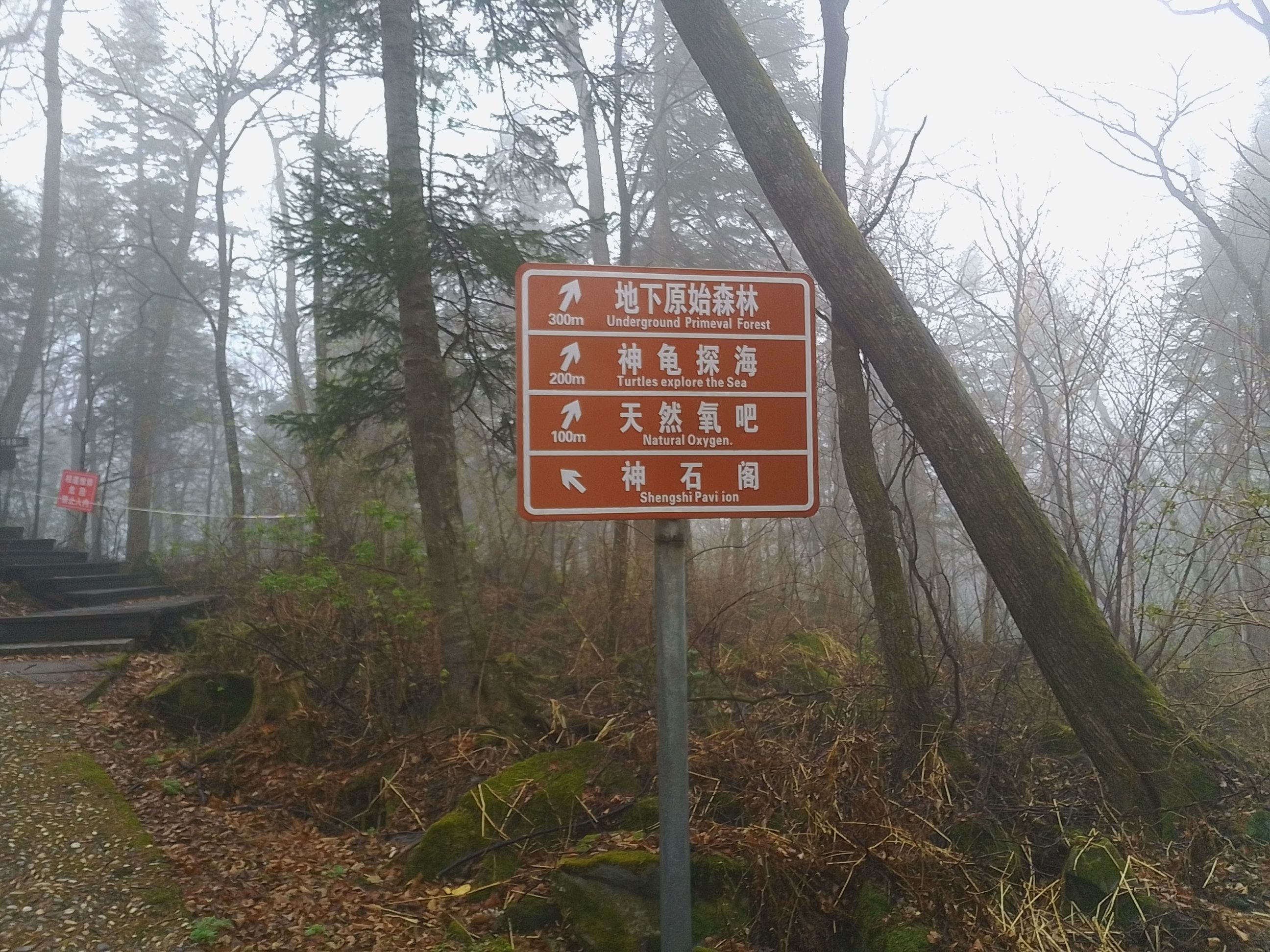 吉林白石山国家森林公园(暂停开放)旅行图片 2