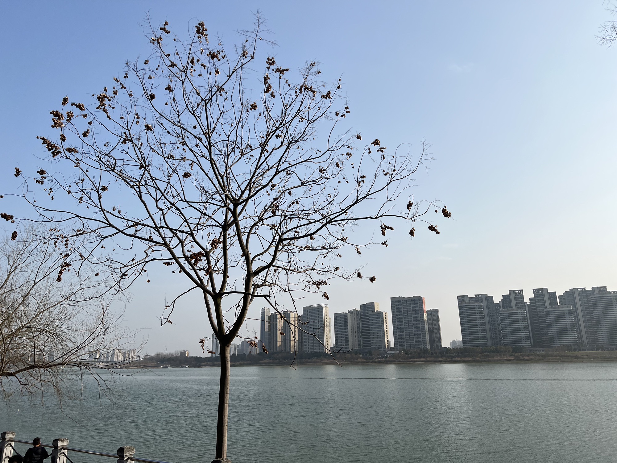 沅江风光带旅行图片 2