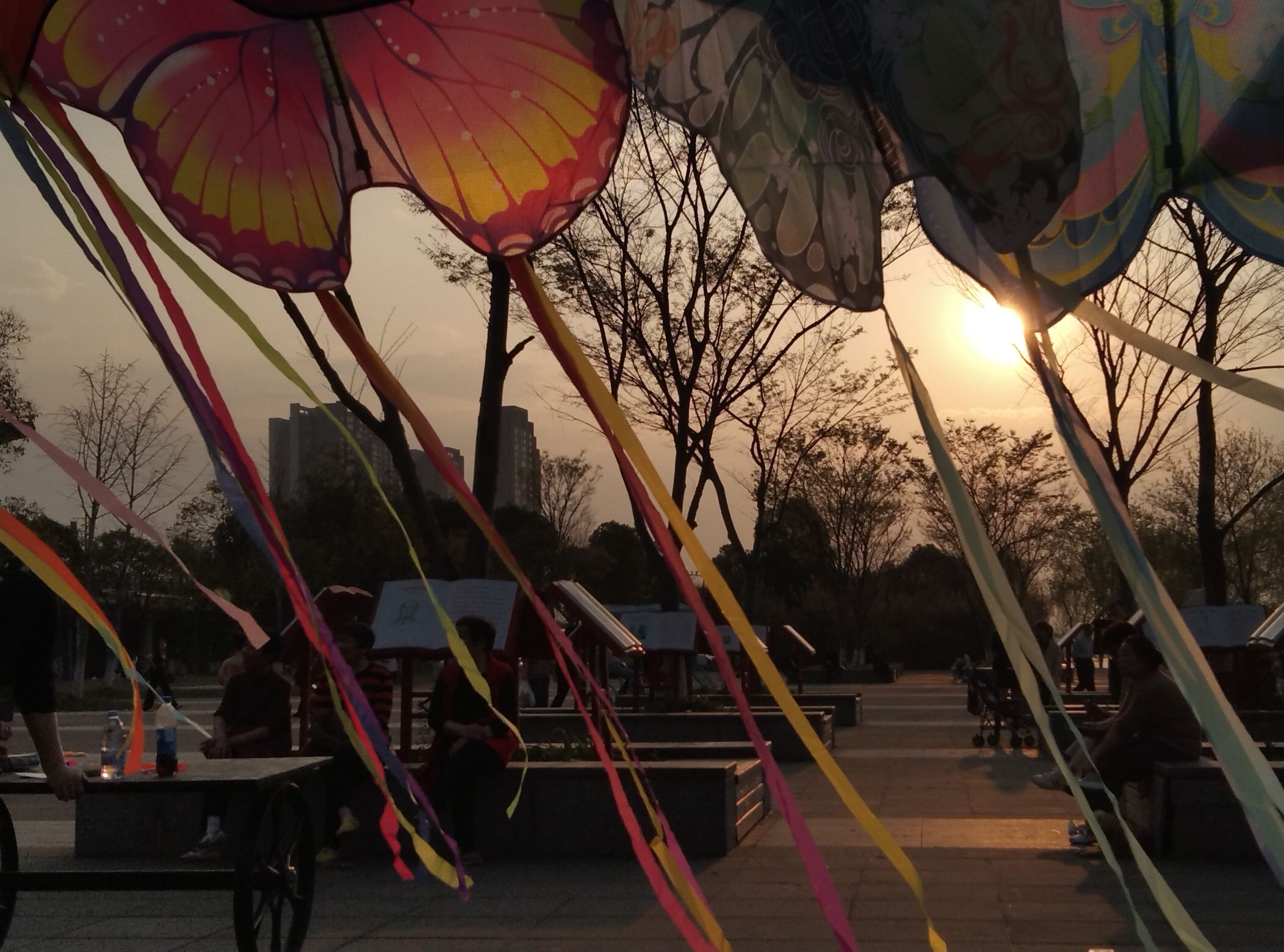 沅江风光带旅行图片 2