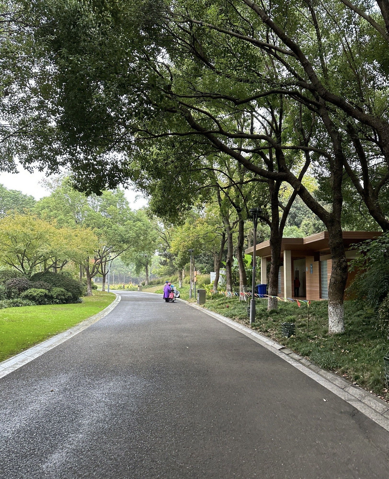 常州高铁生态公园旅行图片 3