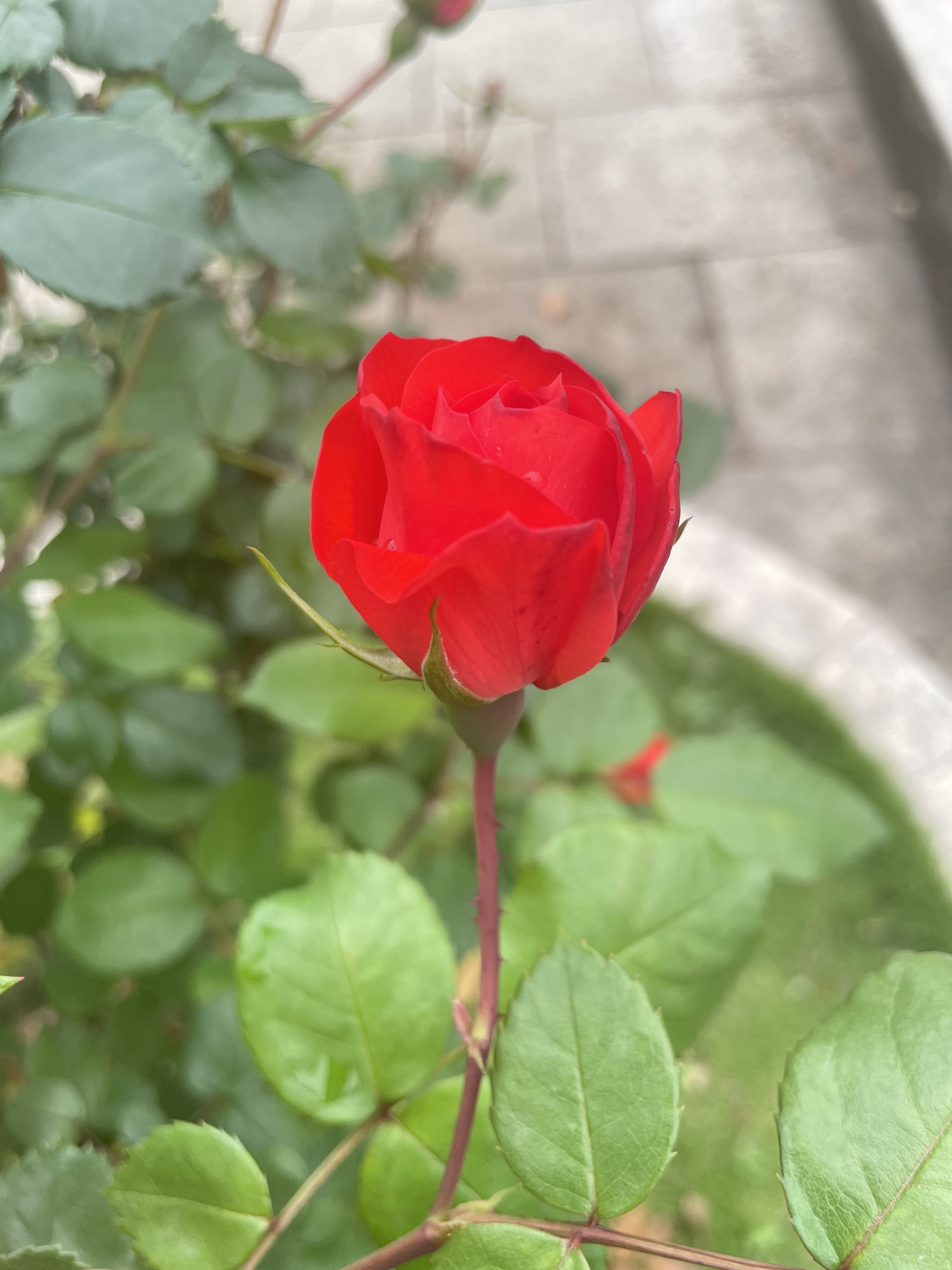 河淇公园旅行图片 2