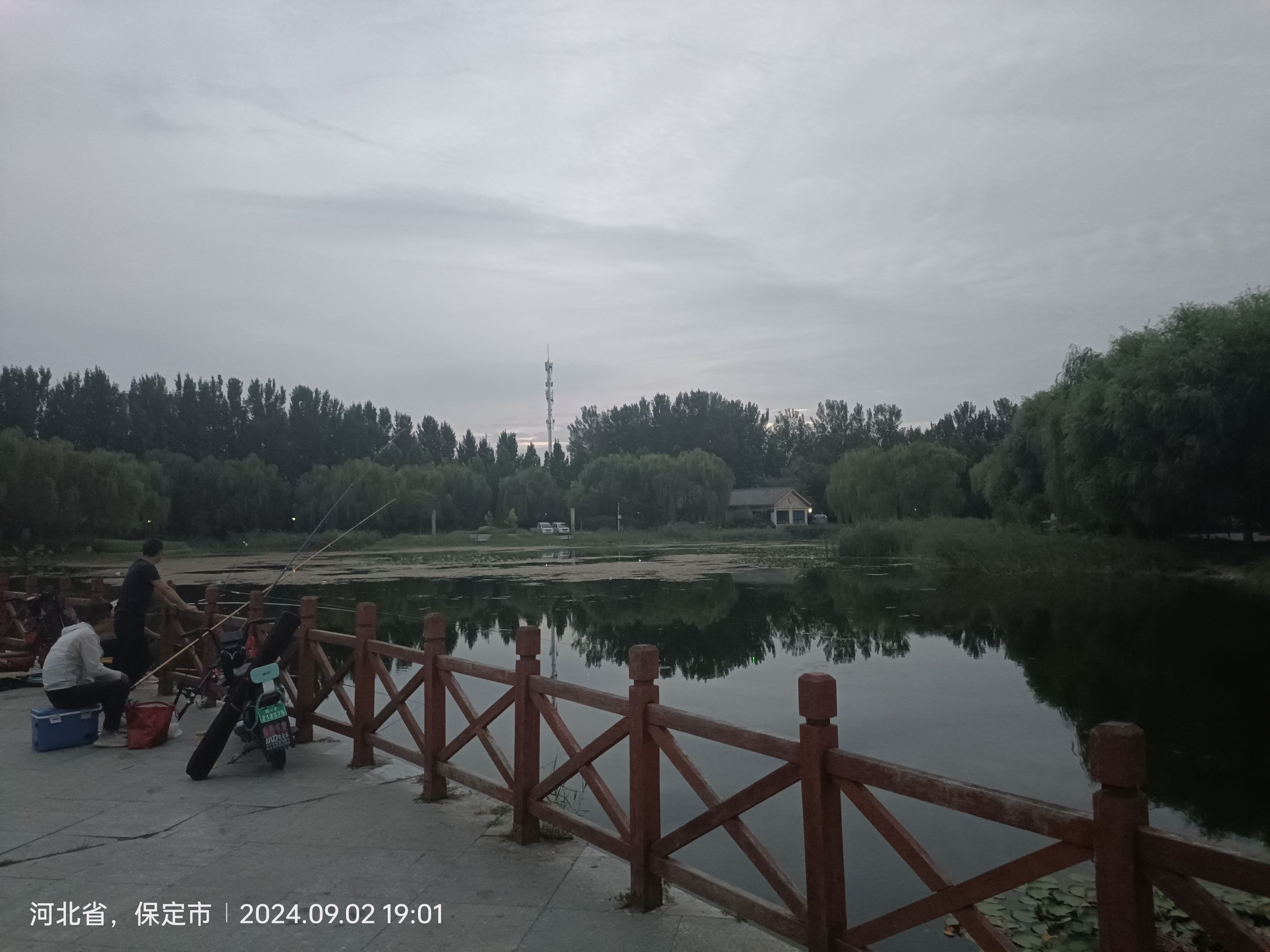 博野公园旅行图片 2