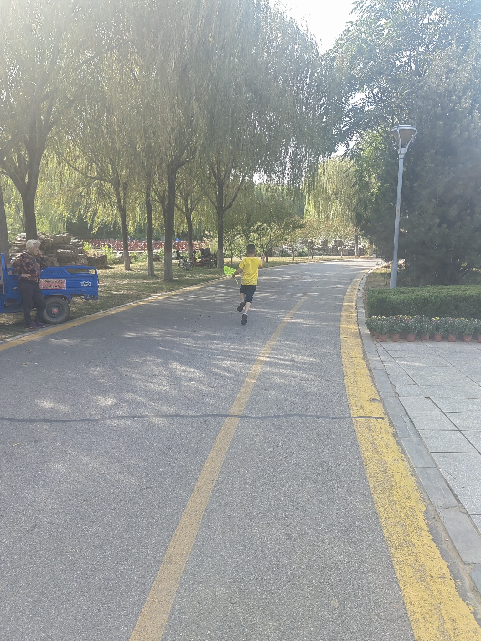 博野公园旅行图片
