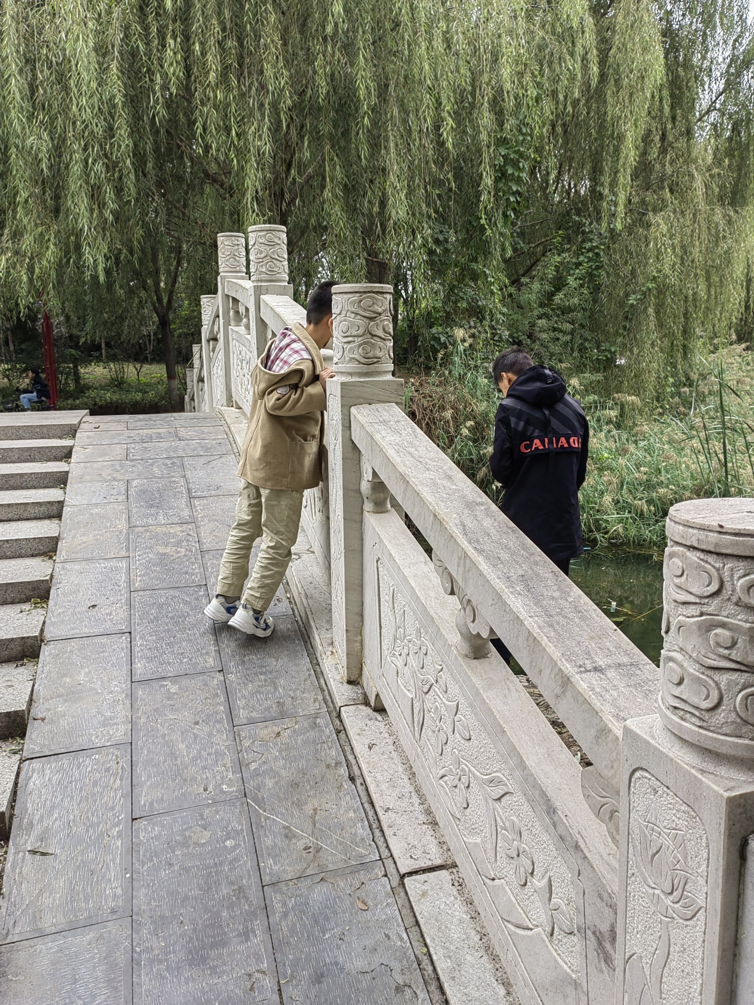 博野公园旅行图片 3