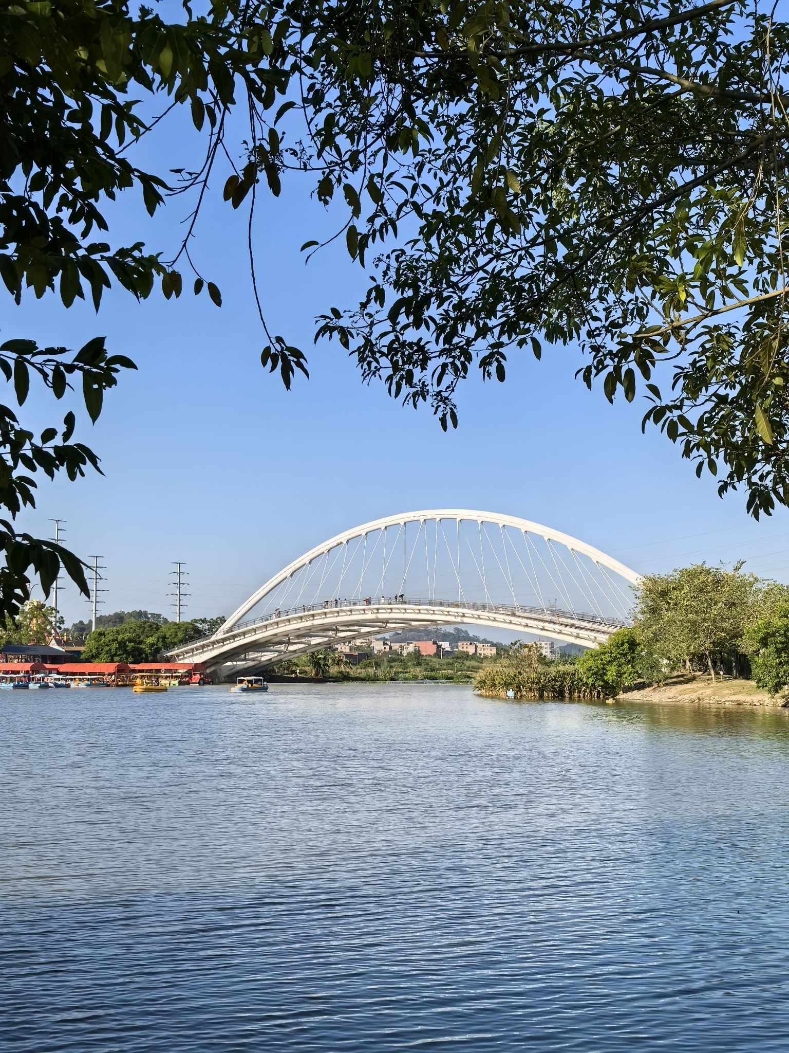 玉林园博园旅行图片 2