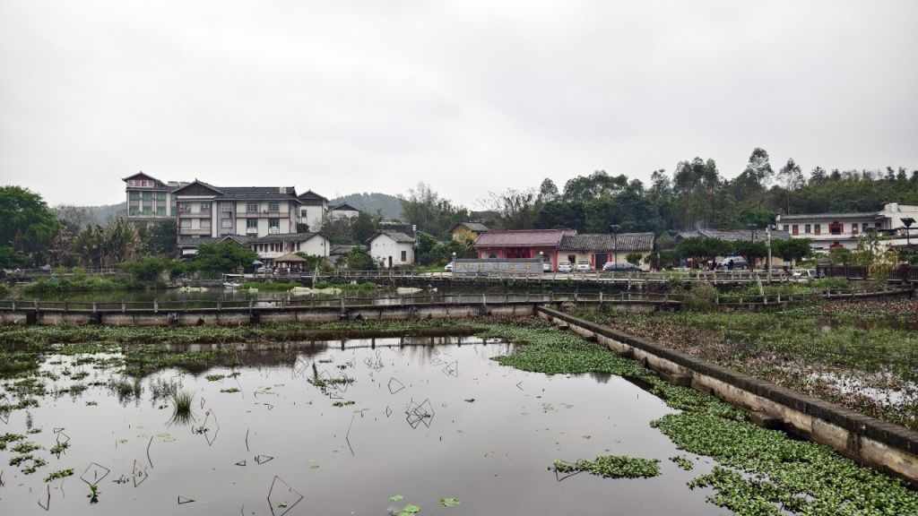 玉林市五彩田园风景区旅行图片 2