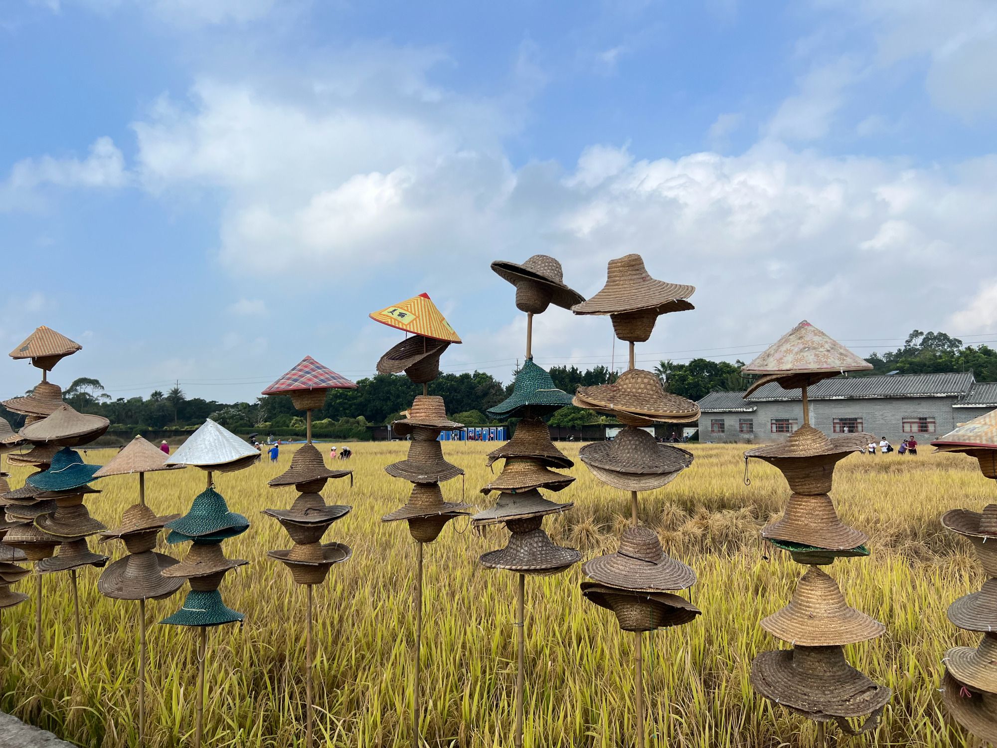 玉林市五彩田园风景区旅行图片 1
