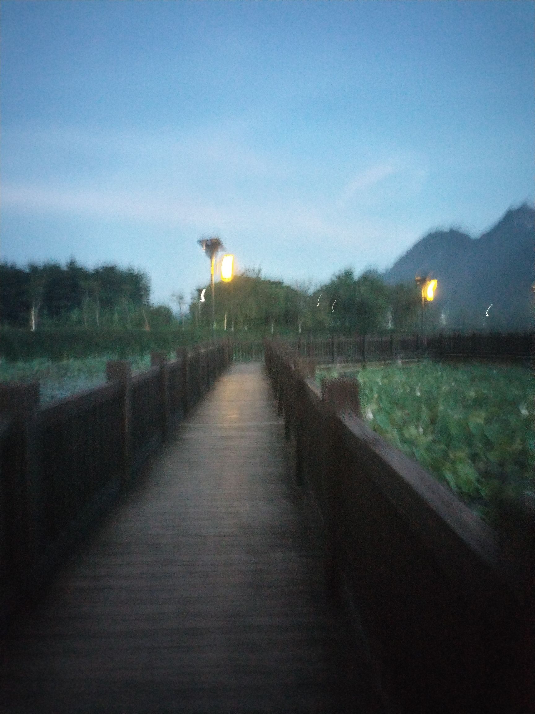 玉林市五彩田园风景区旅行图片 2