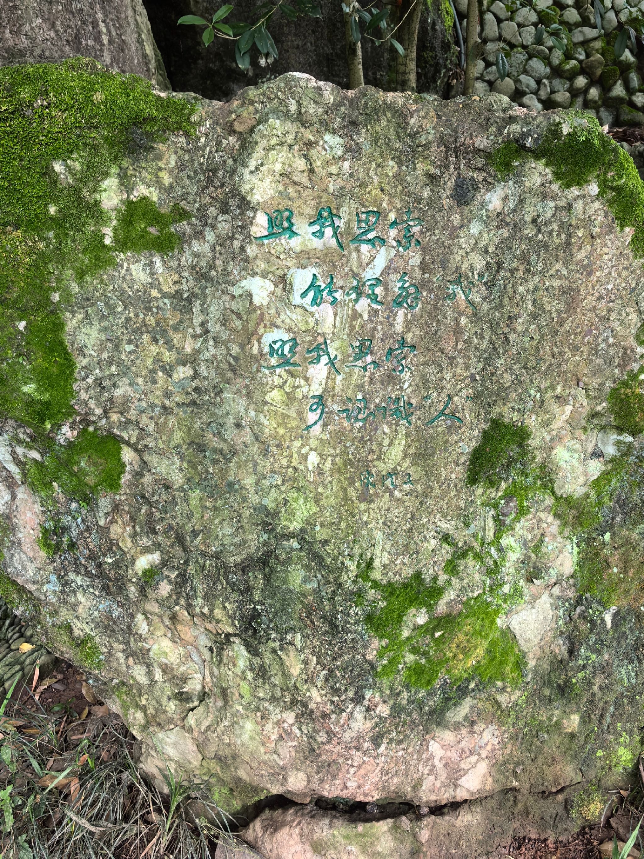 杜母园旅行图片 1